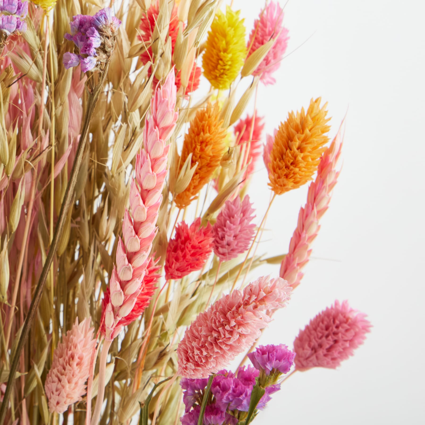 Ein lebendiges Arrangement aus getrockneten Blumen und Körnern in verschiedenen Rosa-, Orange- und Gelbtönen vor einem schlichten weißen Hintergrund.