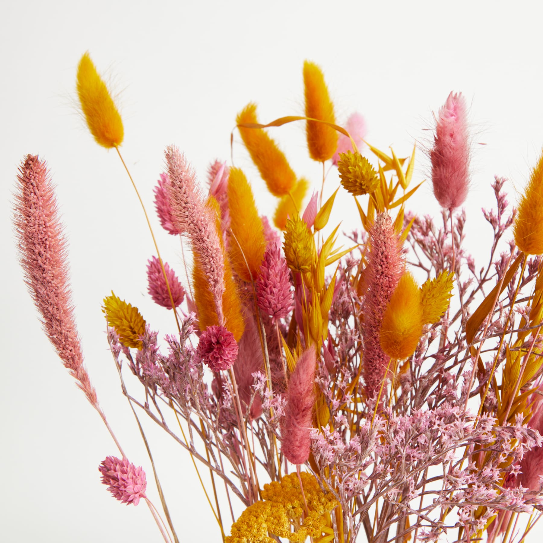 Ein lebendiger Strauß bunter Trockenblumen mit hohen rosa und gelben Federbüscheln, zarten rosa Blütenständen und goldfarbenem Laub vor einem schlichten weißen Hintergrund.