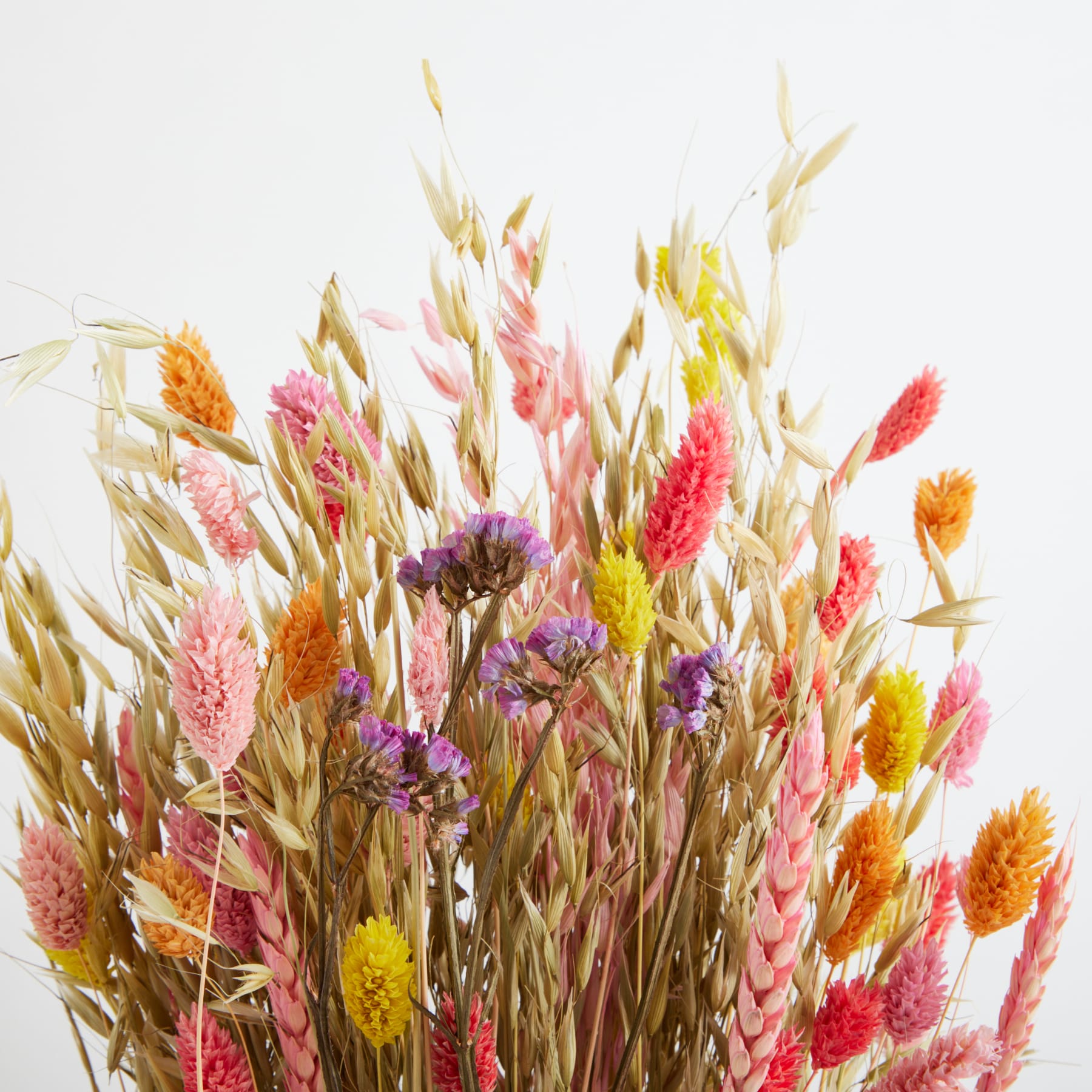 Ein farbenfroher Strauß getrockneter Blumen und Weizenhalme in verschiedenen Gelb-, Orange- und Rosatönen vor einem schlichten weißen Hintergrund.
