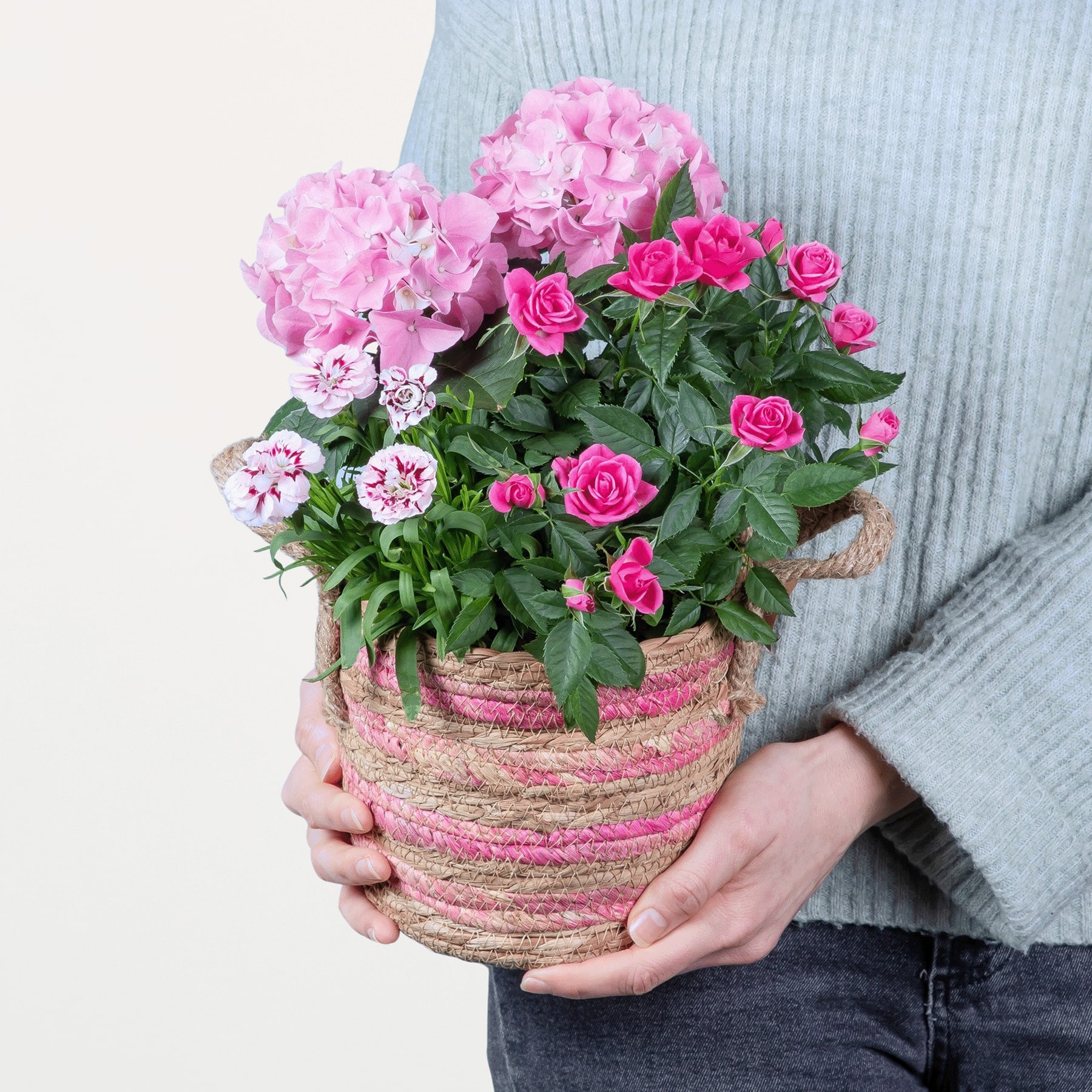 Ein leuchtender Strauß rosa Hortensien und Rosen in einem geflochtenen Korb, gehalten in den Händen einer Person, die einen grauen Pullover vor einem schlichten Hintergrund trägt.