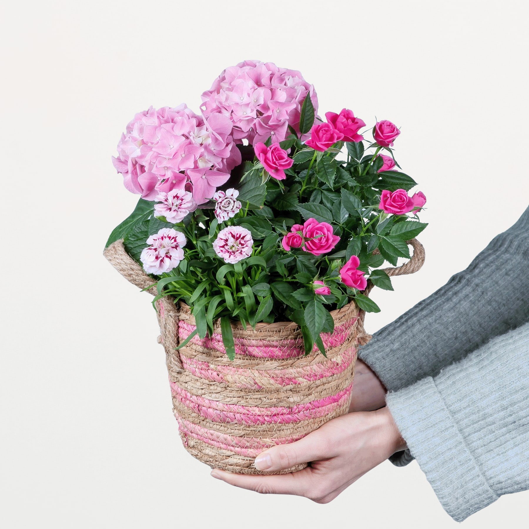 Ein Strauß leuchtend rosa Hortensien und Rosen in einem geflochtenen Korb, den eine Person vor einem schlichten Hintergrund in den Händen hält.