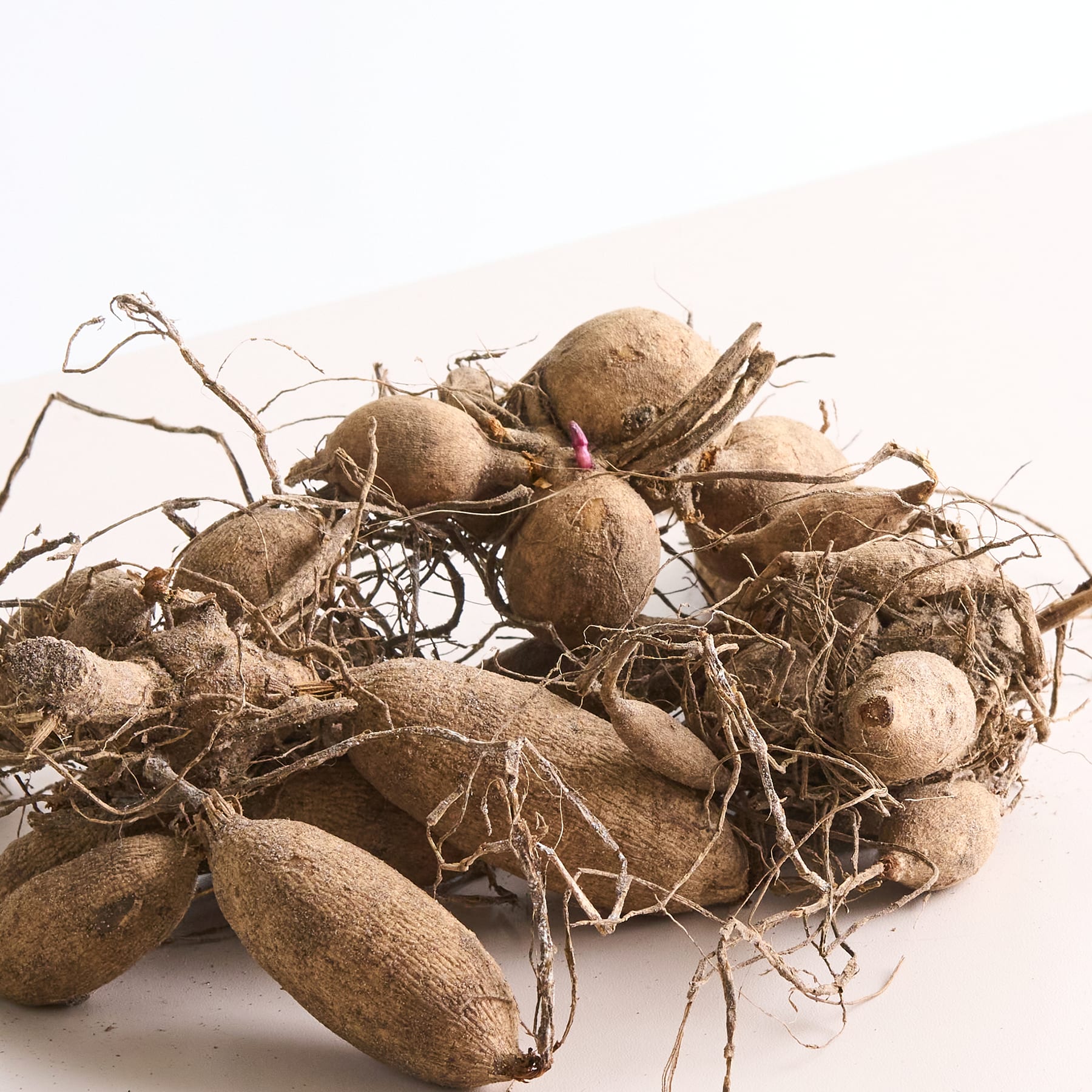 Ein Haufen frisch geernteter Kartoffeln mit noch anhaftenden Wurzeln und Stängeln, die auf einem schlichten Hintergrund liegen.