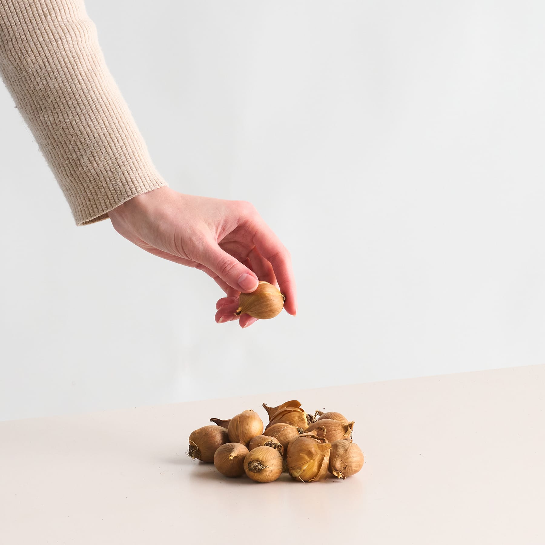 Eine Hand greift nach unten, um einen kleinen Haufen scheinbar gerösteter Kastanien oder ähnlicher Nüsse auf einer schlichten weißen Oberfläche aufzuheben.