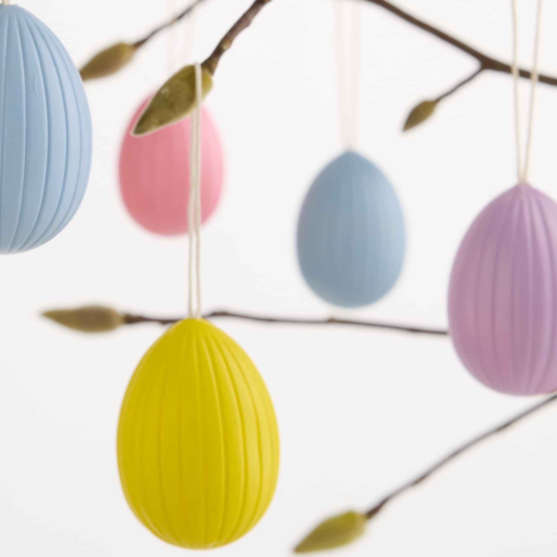 Bunte Ostereier in verschiedenen Pastelltönen hängen vor einem schlichten weißen Hintergrund an Zweigen.