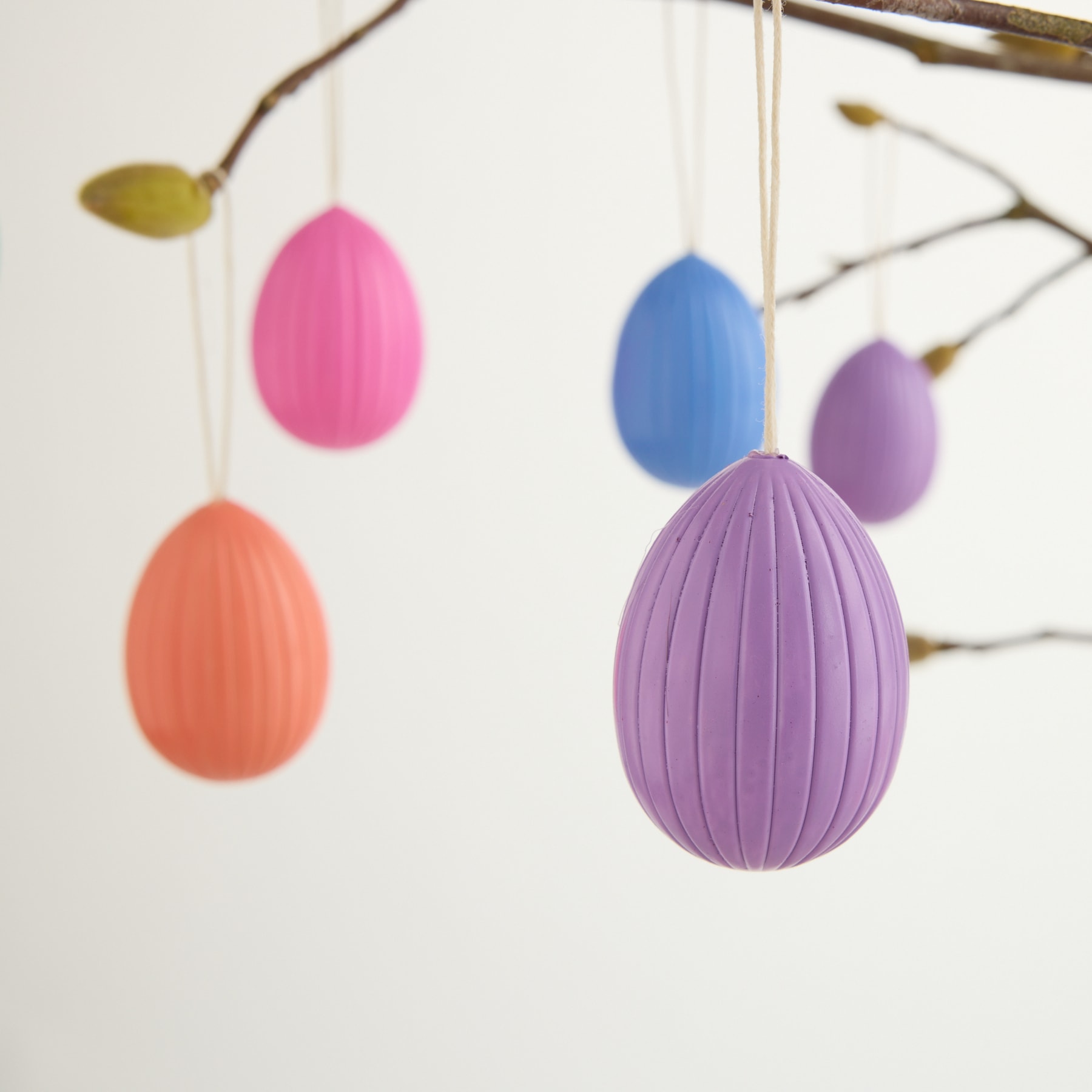 Bunte Ostereier in verschiedenen Pastelltönen hängen vor einem schlichten weißen Hintergrund an Zweigen.