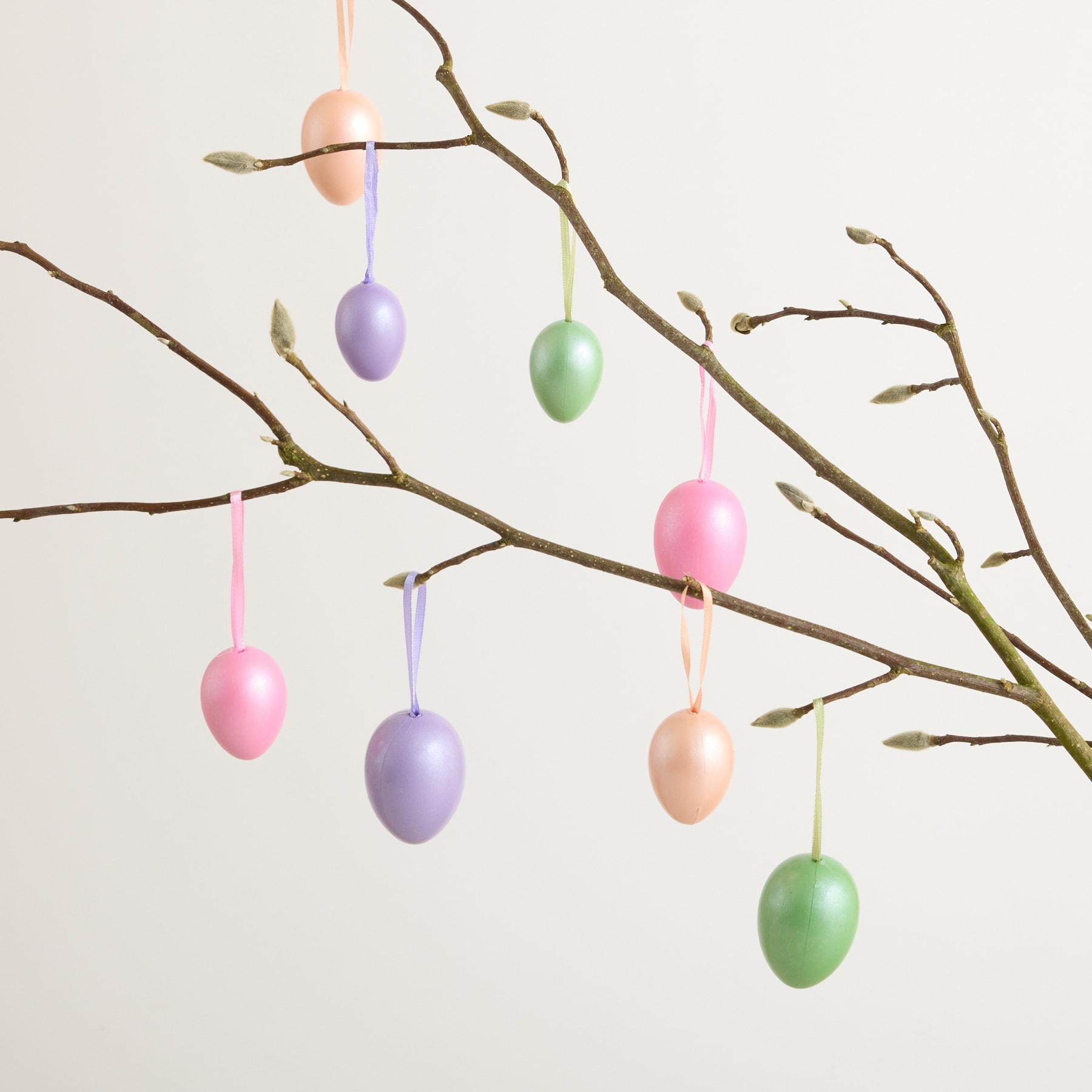 Bunte Ostereier hängen vor einem schlichten weißen Hintergrund an den kahlen Zweigen eines Baumes.