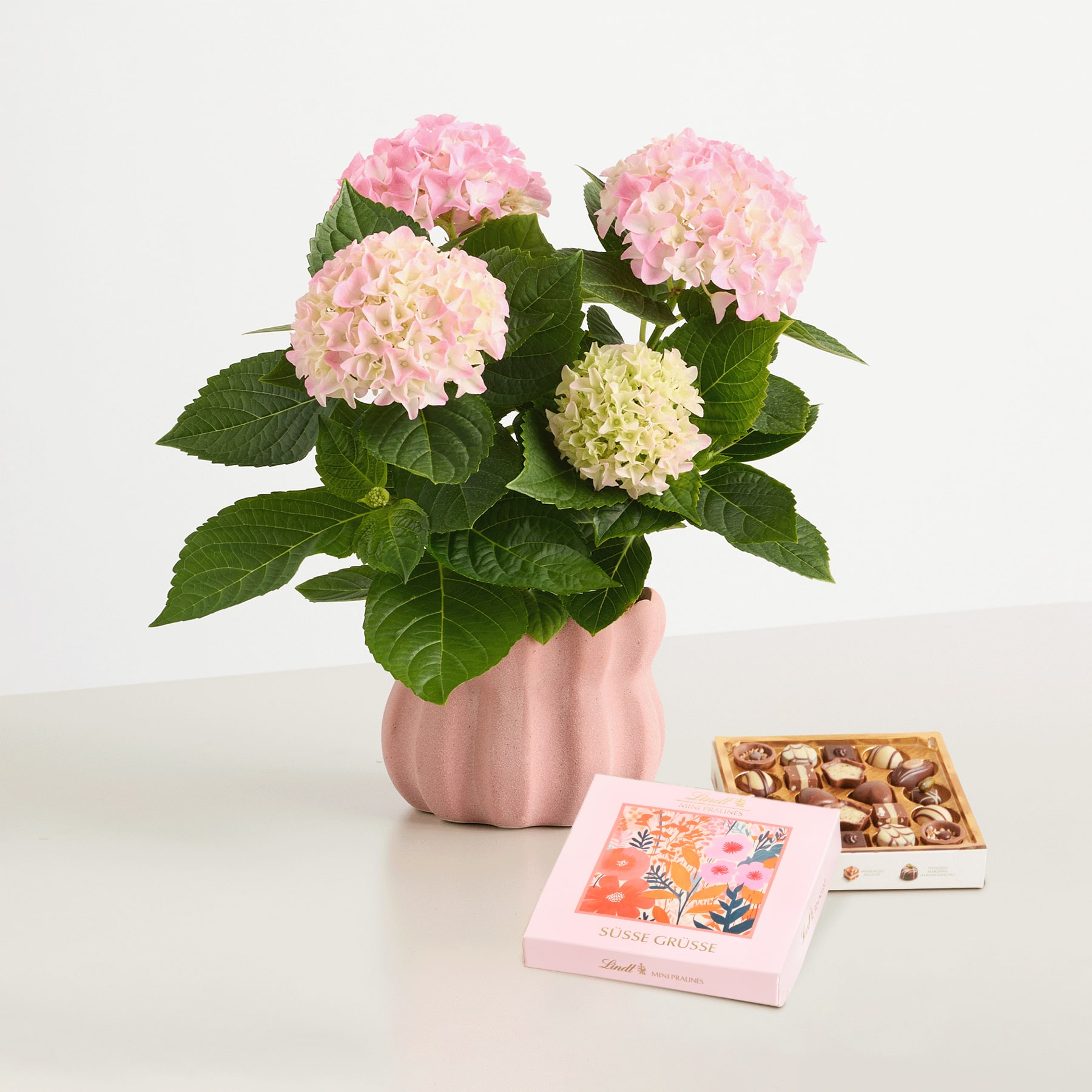 Das Bild zeigt einen Strauß leuchtend rosa und weißer Hortensienblüten in einer rosa Keramikvase, begleitet von einer Schachtel verschiedener Pralinen und einer Grußkarte auf schlichtem weißem Hintergrund.
