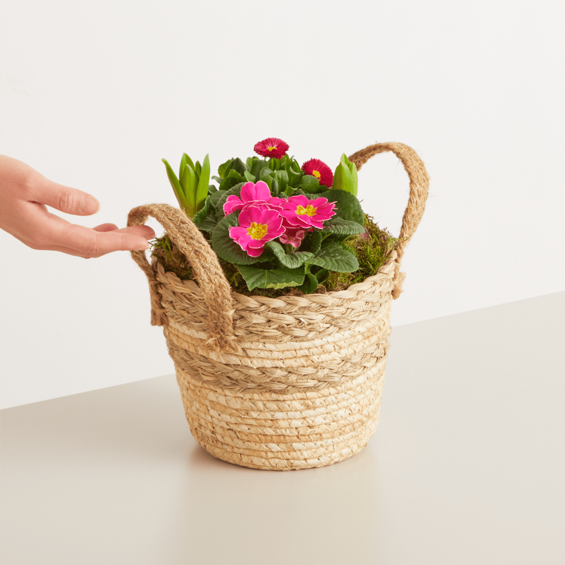 Ein geflochtener Korb voller leuchtend rosa und roter Blumen wird von einer Hand gehalten und steht auf einer schlichten weißen Oberfläche.