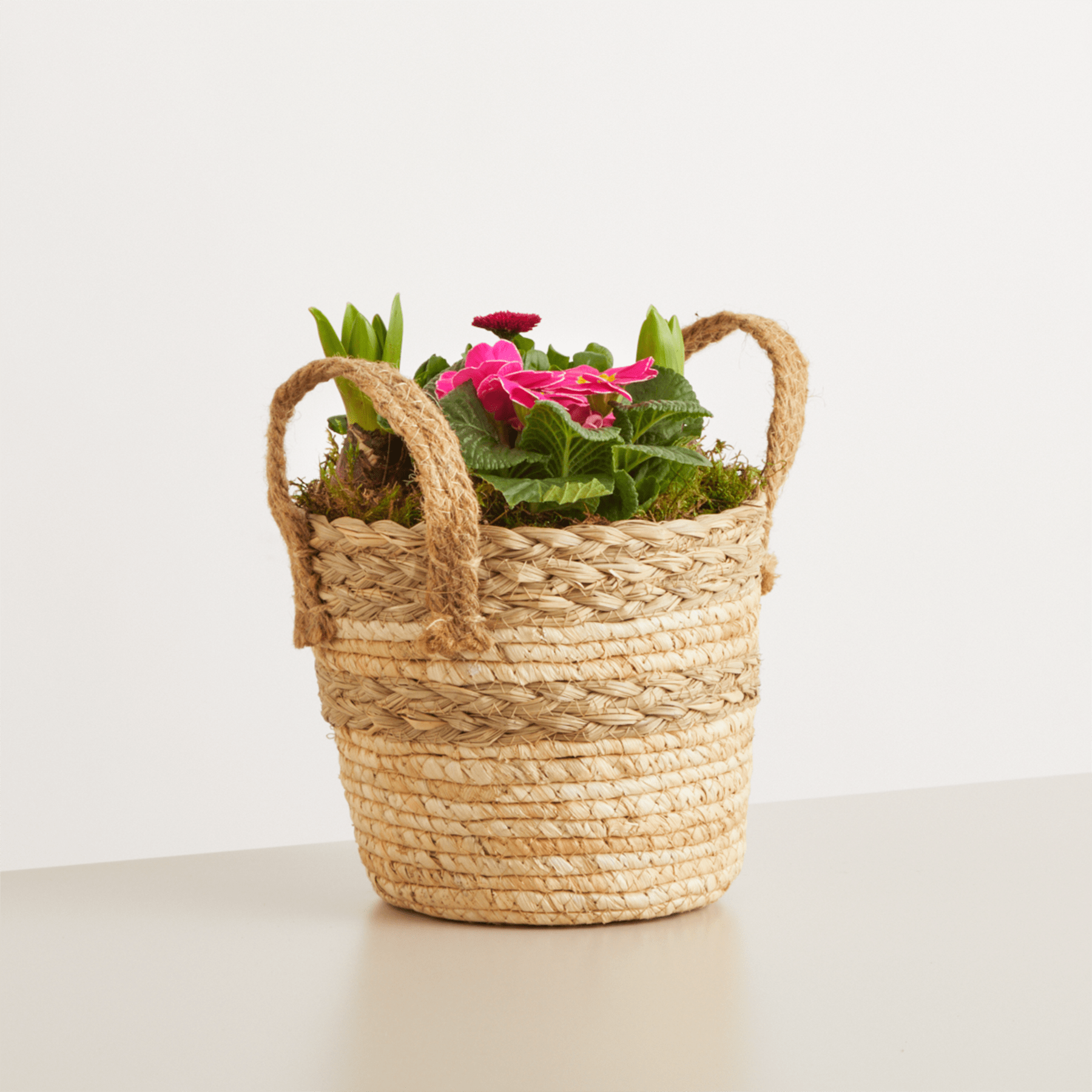 Auf einem schlichten weißen Hintergrund steht ein geflochtener Strohkorb voller üppigem grünem Laub und leuchtend rosa Blumen.