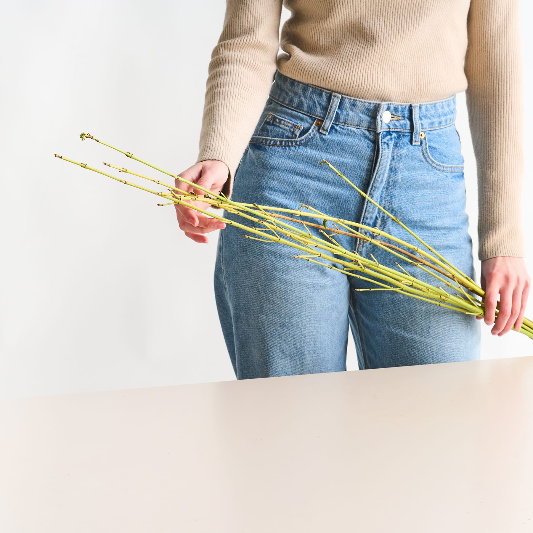 Die Hände einer Person halten ein Bündel gelber Blumen oder Stängel vor einem schlichten weißen Hintergrund.