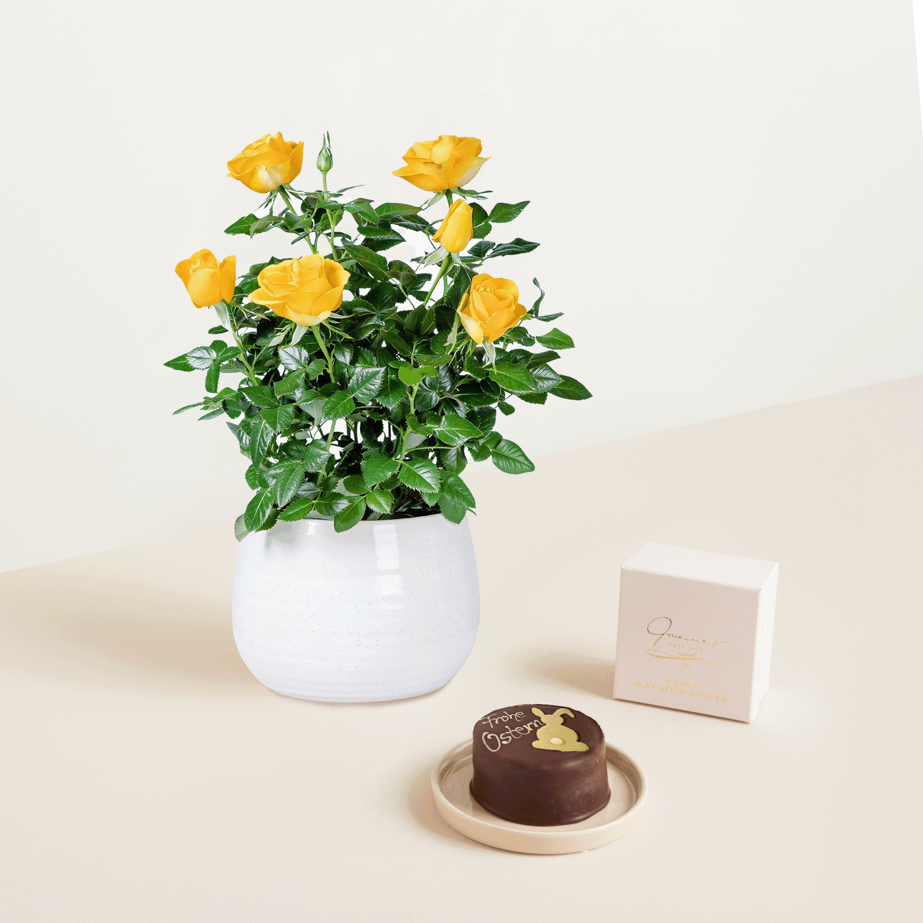 Auf einem Tisch steht eine Topfpflanze mit leuchtend gelben Rosen, dazu ein kleines Schokoladendessert auf einem Teller.