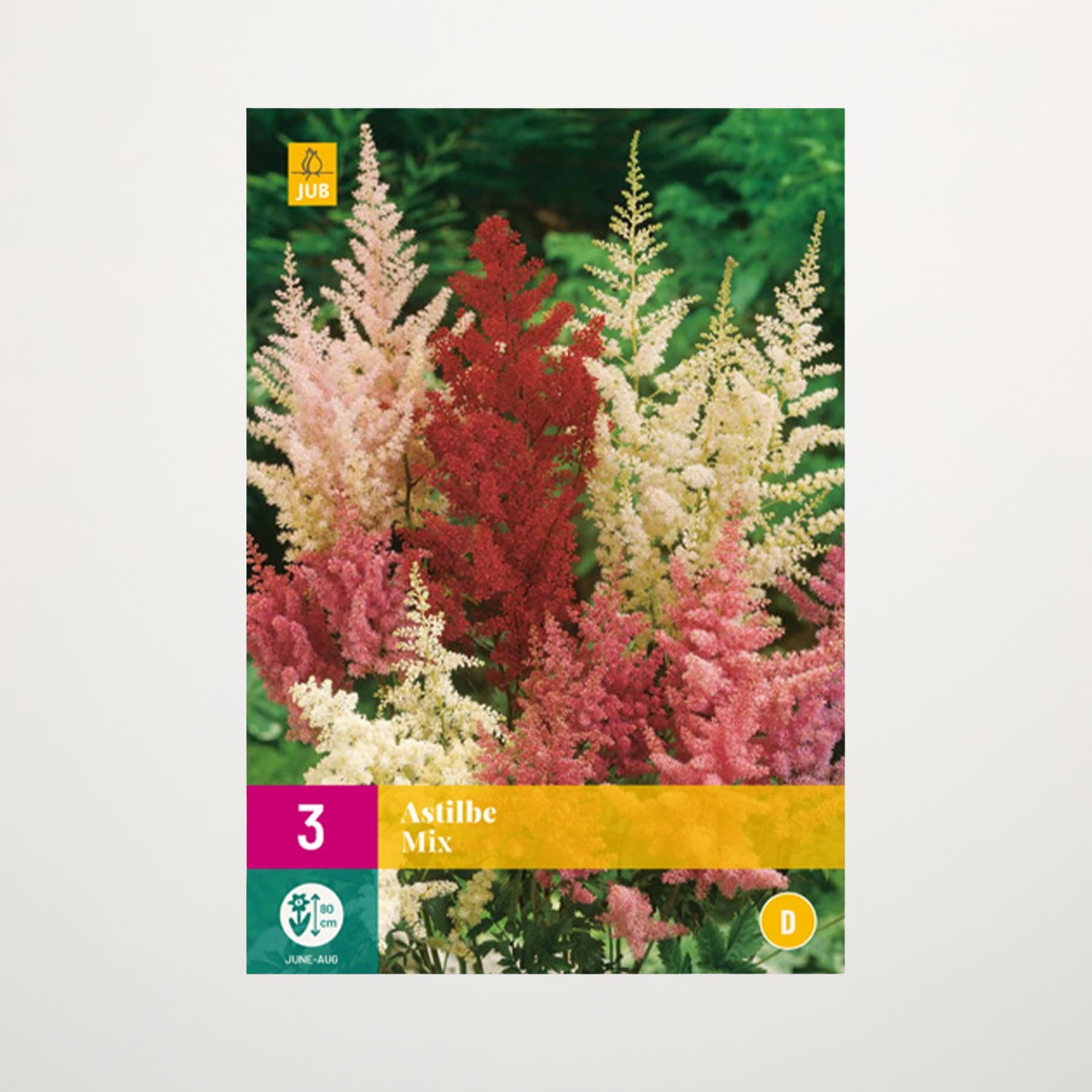 Das Bild zeigt eine farbenfrohe Darstellung verschiedener Astilbenblüten in Rosa-, Rot- und Weißtönen vor einem üppigen grünen Blatthintergrund.