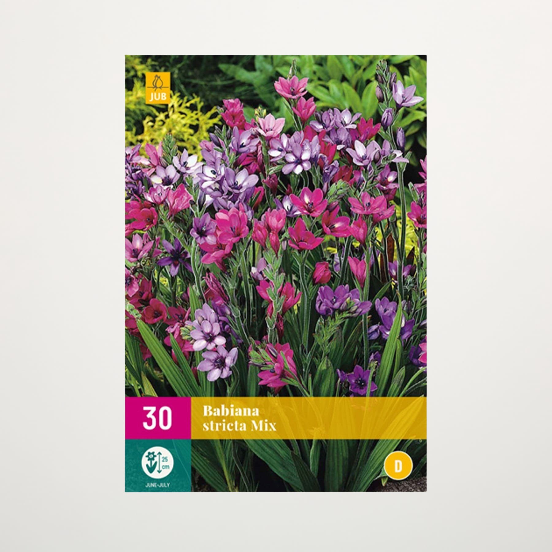 Eine farbenfrohe Ausstellung verschiedener rosa, violetter und gelber Blumen in einer üppigen, grünen Gartenumgebung.