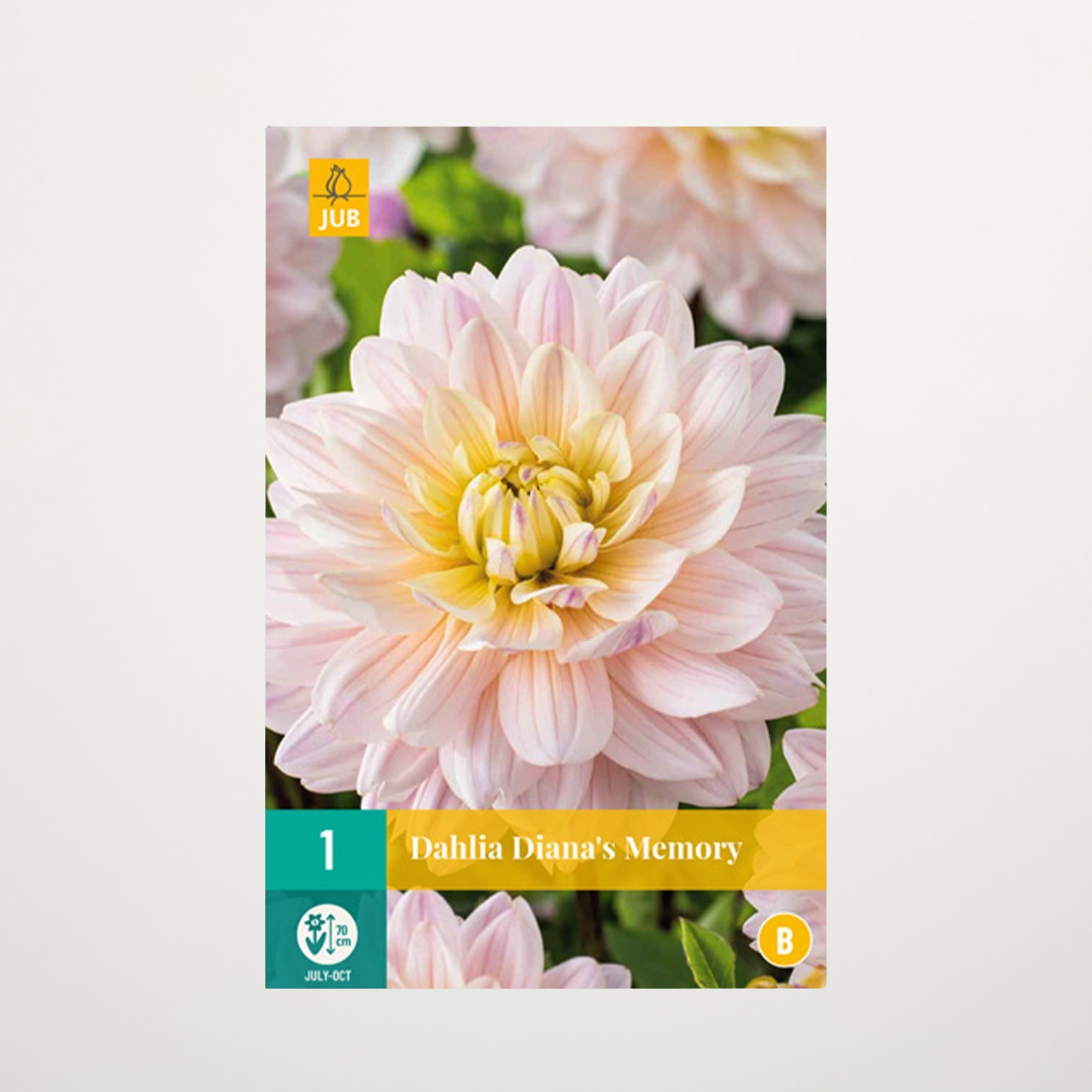 Eine leuchtende, blassrosa Dahlienblüte mit gelber Mitte steht prominent im Vordergrund, umgeben von üppigem Grün im Hintergrund.