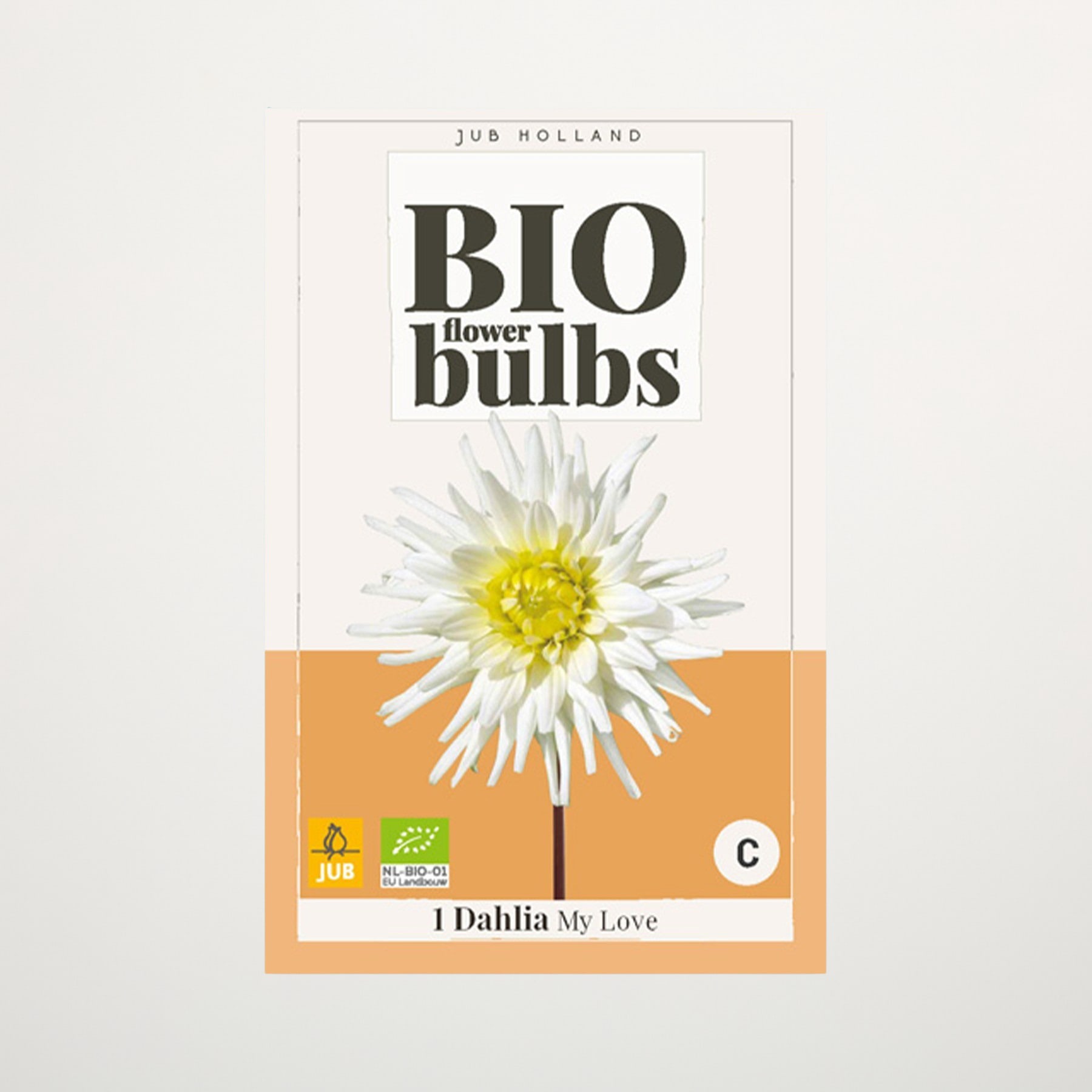 Das Bild zeigt eine Packung Bio-Blumenzwiebeln mit einer großen, leuchtend weißen und gelben Dahlienblüte vor einem schlichten Hintergrund.