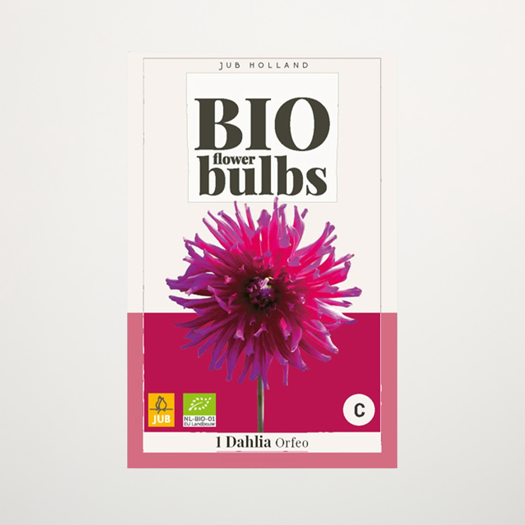 Das Bild zeigt eine Packung Bio-Dahlienzwiebeln, auf deren Vorderseite eine leuchtend rosa Dahlienblüte deutlich zu sehen ist.