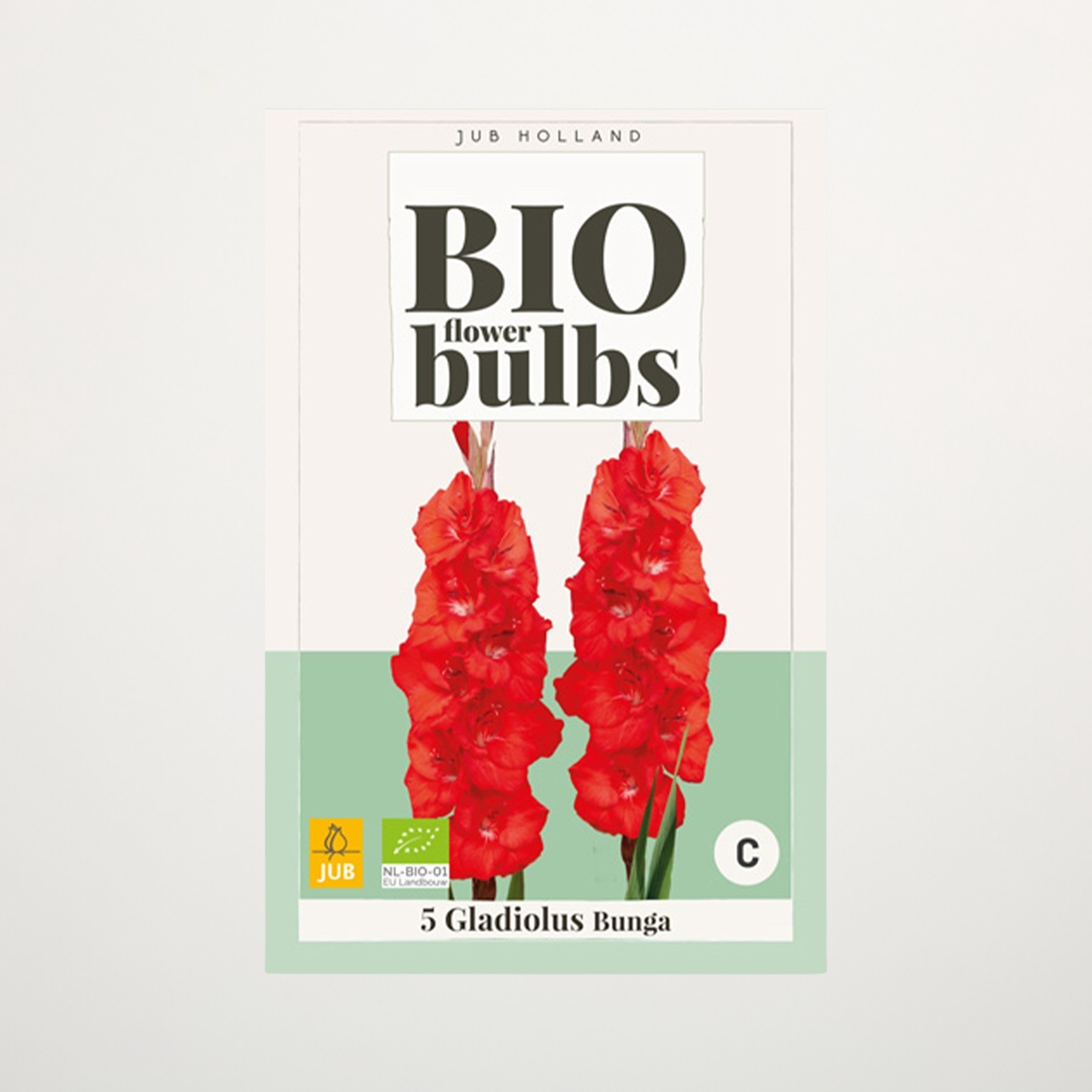 Das Bild zeigt eine Packung Bio-Gladiolenzwiebeln. Auf der Verpackung sind leuchtend rote Blüten vor einem schlichten weißen Hintergrund deutlich zu sehen.