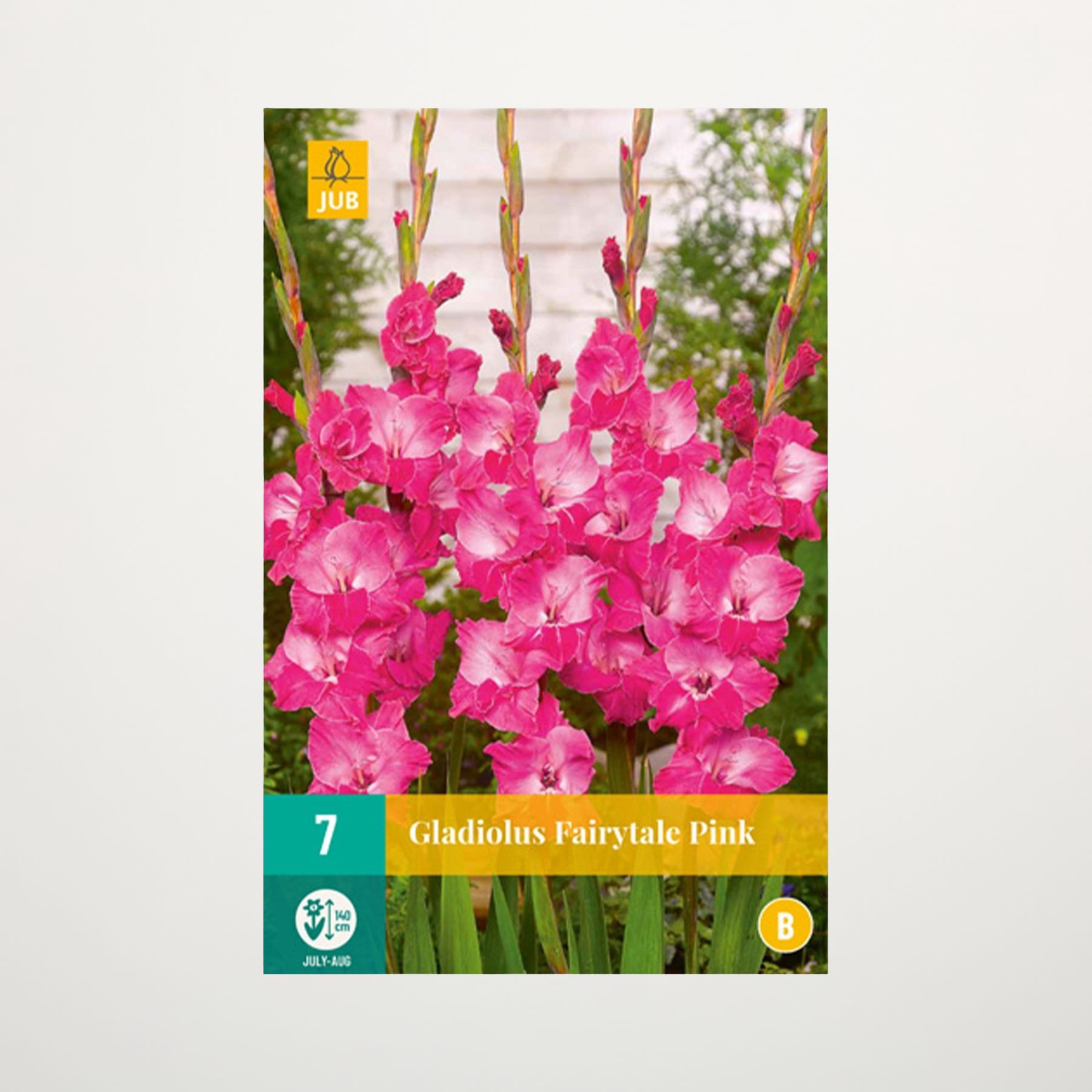 Leuchtend rosafarbene Gladiolenblüten ragen vor dem Hintergrund üppigen Grüns empor und schaffen eine optisch beeindruckende und farbenfrohe Szene.