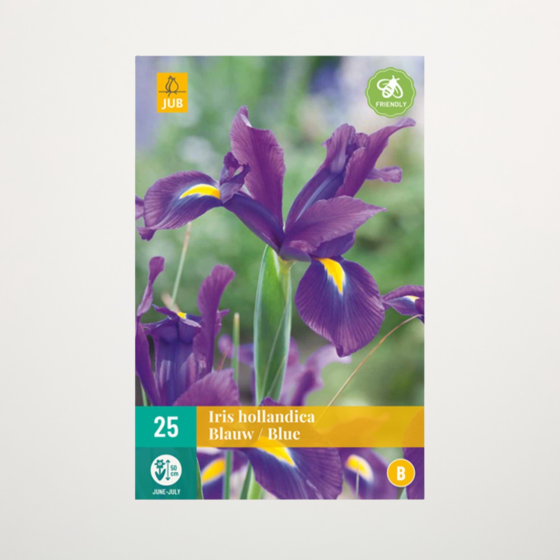 Das Bild zeigt mehrere leuchtend violette Schwertlilienblüten mit gelber Mitte vor einem unscharfen grünen Hintergrund.