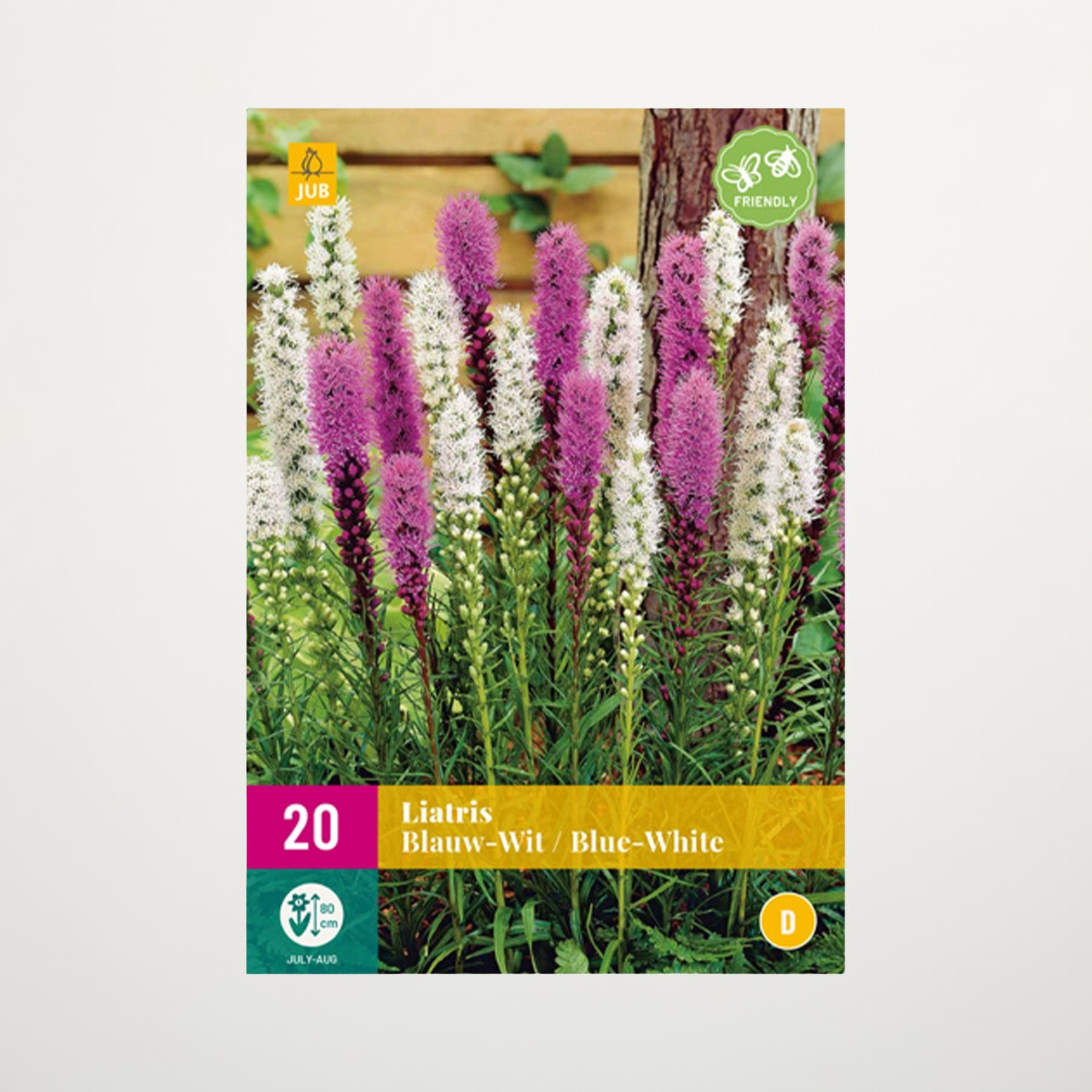 Das Bild zeigt eine leuchtende Pracht violetter und weißer Blumen in einem Garten mit einem Holzzaun und viel Grün im Hintergrund.