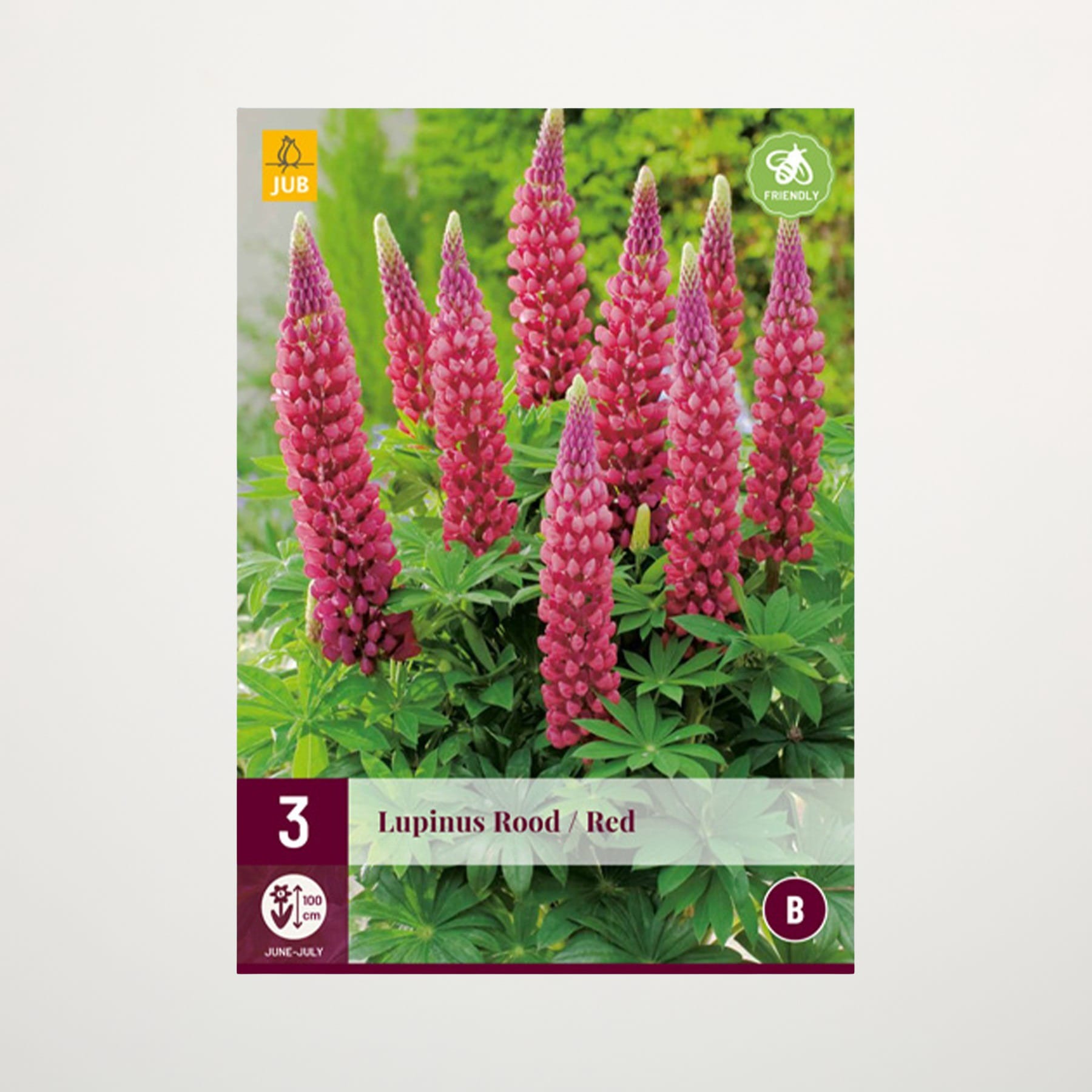 Leuchtend rote Lupinen ragen hoch vor einem üppigen grünen Hintergrund hervor und erzeugen einen auffälligen visuellen Kontrast.