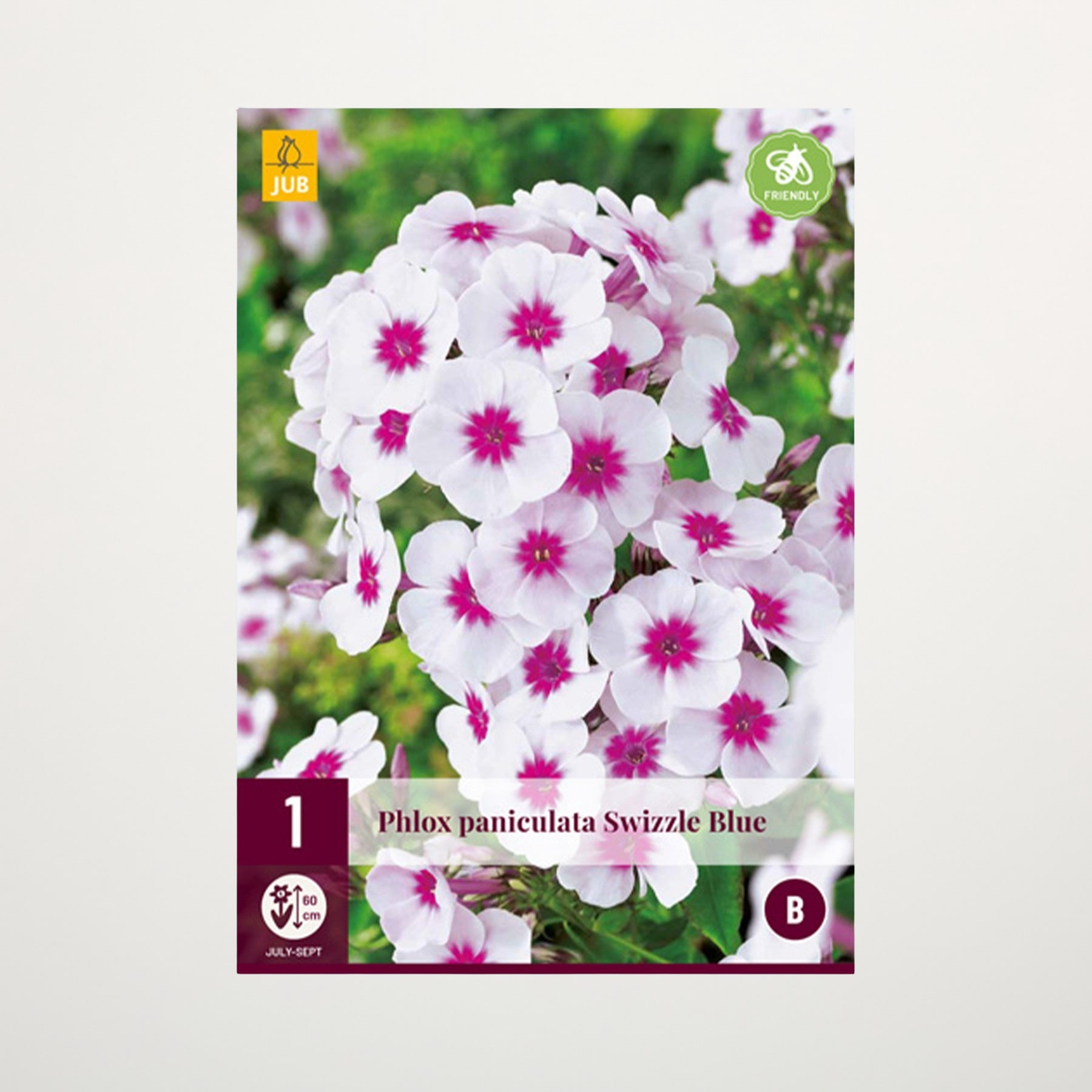 Das Bild zeigt eine Nahaufnahme einer Ansammlung weißer und rosa Blüten vor einem leuchtend grünen Hintergrund, wahrscheinlich eine Phlox paniculata „Swizzle Blue“-Pflanze.