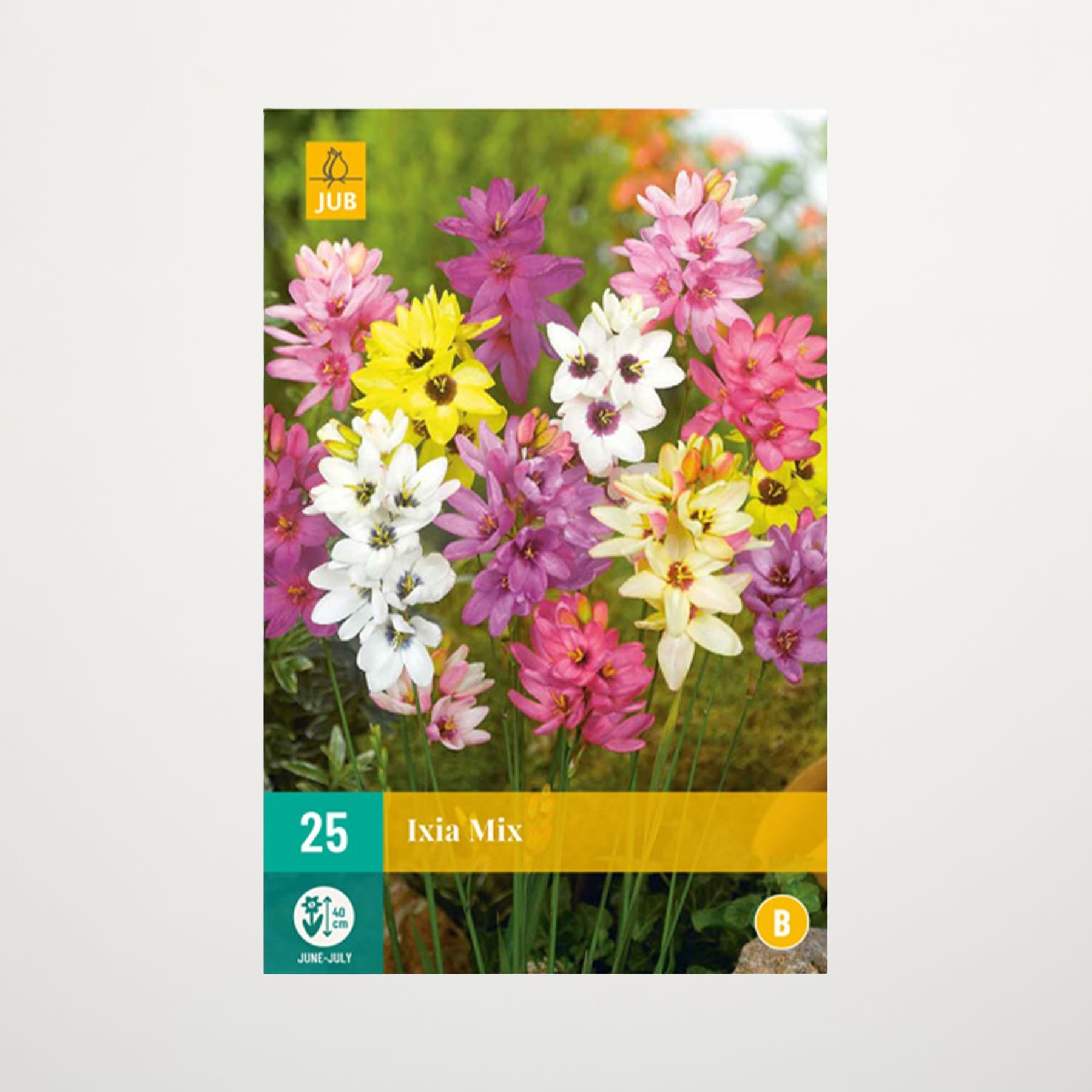 Eine lebendige Auswahl farbenfroher Dahlien in verschiedenen Rosa-, Gelb- und Weißtönen vor einem verschwommenen grünen Hintergrund.