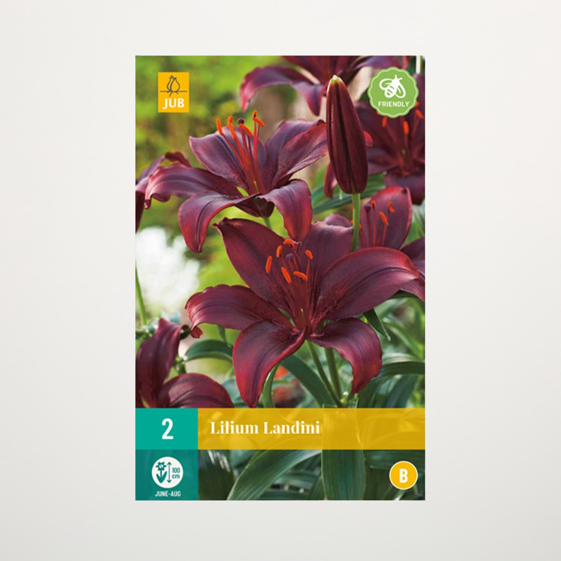 Das Bild zeigt mehrere leuchtend tiefrote Lilien mit gelber Mitte vor einem unscharfen grünen Hintergrund, was auf einen Garten oder eine natürliche Umgebung hindeutet.