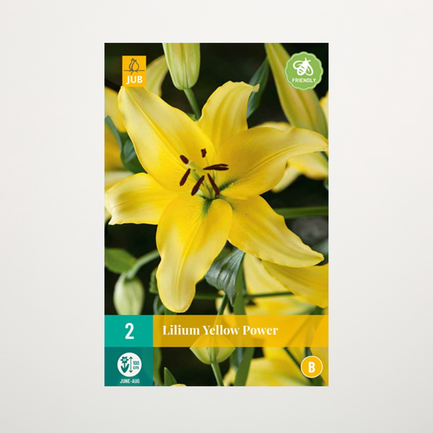 Eine leuchtend gelbe Lilienblüte mit markanter Mitte hebt sich von einem verschwommenen grünen Hintergrund ab und schafft so eine optisch beeindruckende und natürliche Komposition.