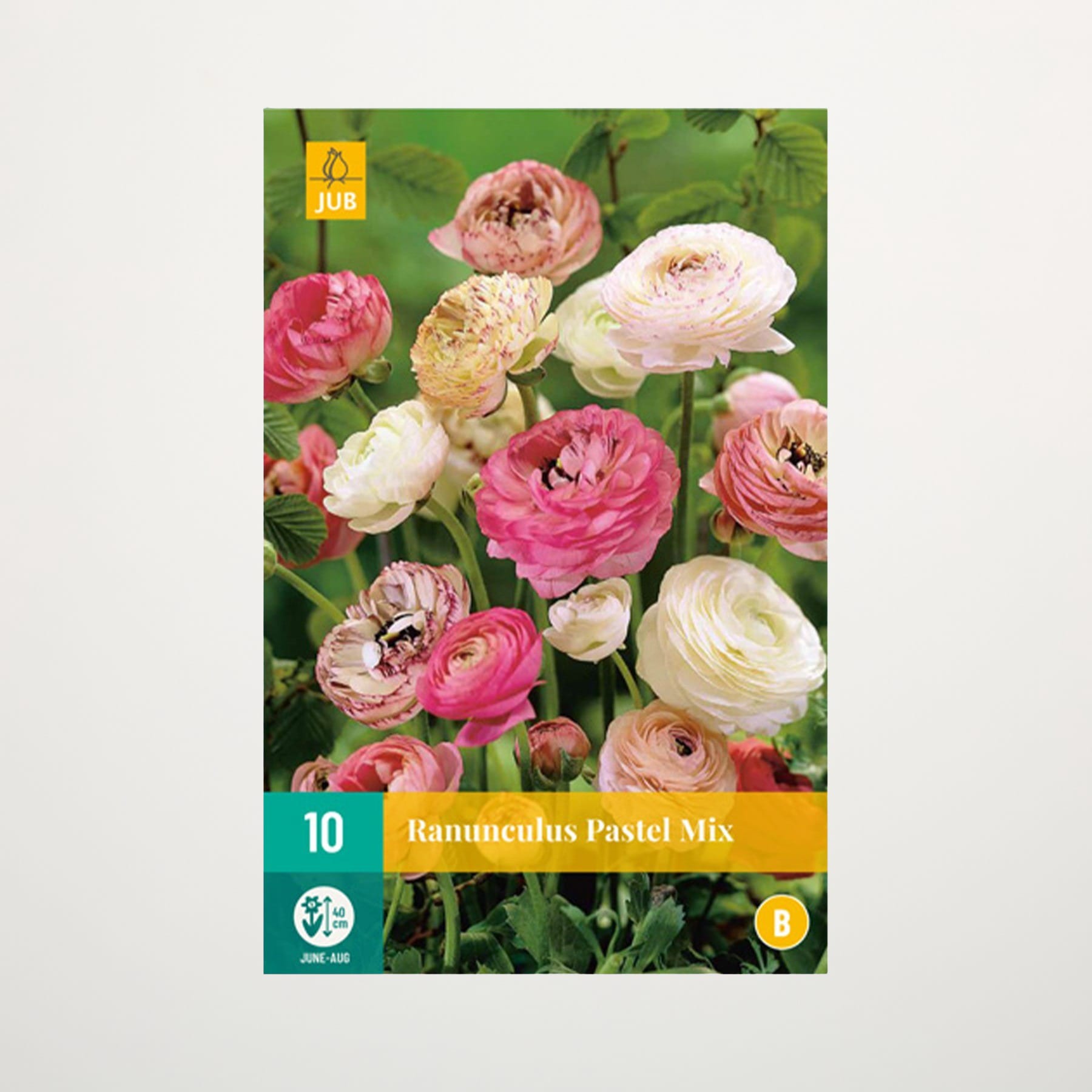 Das Bild zeigt eine leuchtende Palette pastellfarbener Ranunkelnblüten mit einer Mischung aus Rosa-, Weiß- und Gelbtönen vor einem Hintergrund aus üppigem grünem Laub.
