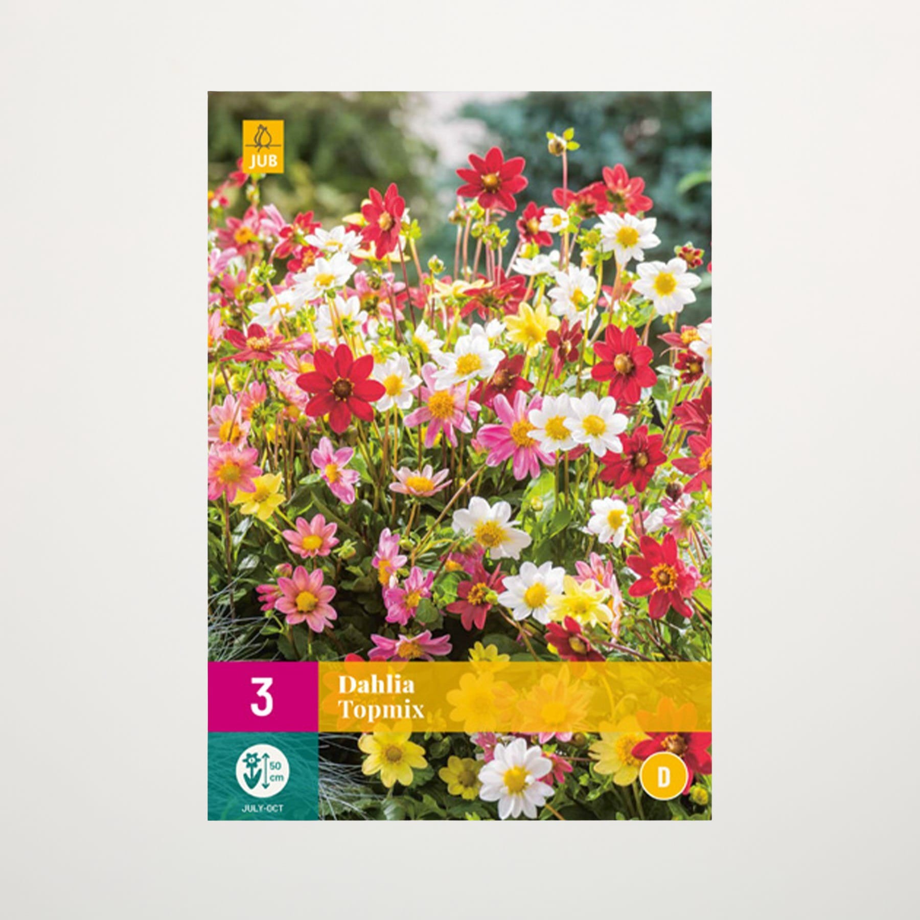 Ein lebendiger und farbenfroher Garten voller blühender Blumen, darunter rote Dahlien, weiße Gänseblümchen und andere leuchtende Blumenarten, vor einem unscharfen natürlichen Hintergrund.
