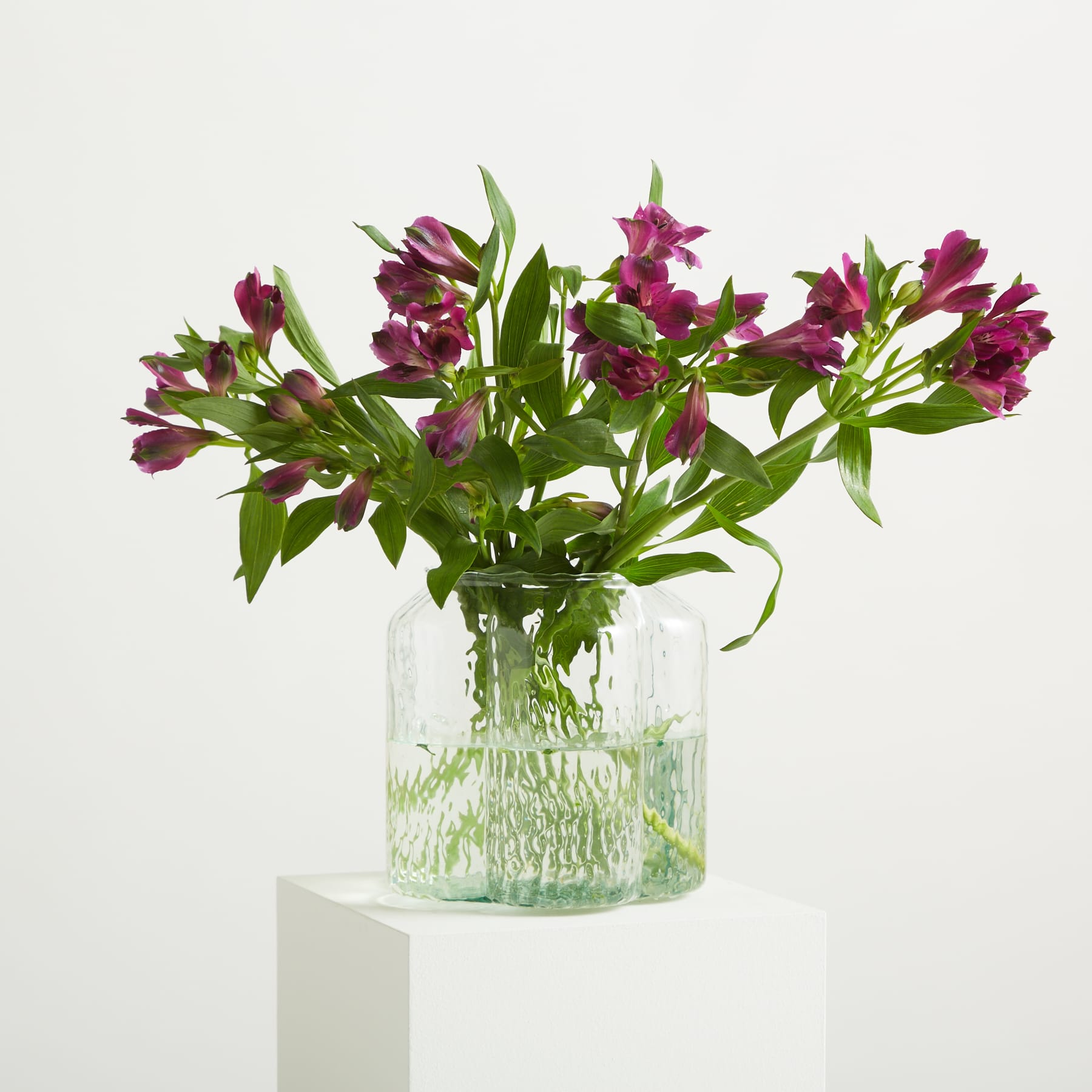 Ein Strauß leuchtend violetter Blumen in einer Glasvase steht auf einer schlichten weißen Fläche vor einem weißen Hintergrund. (Beschreibungstext KI-generiert)