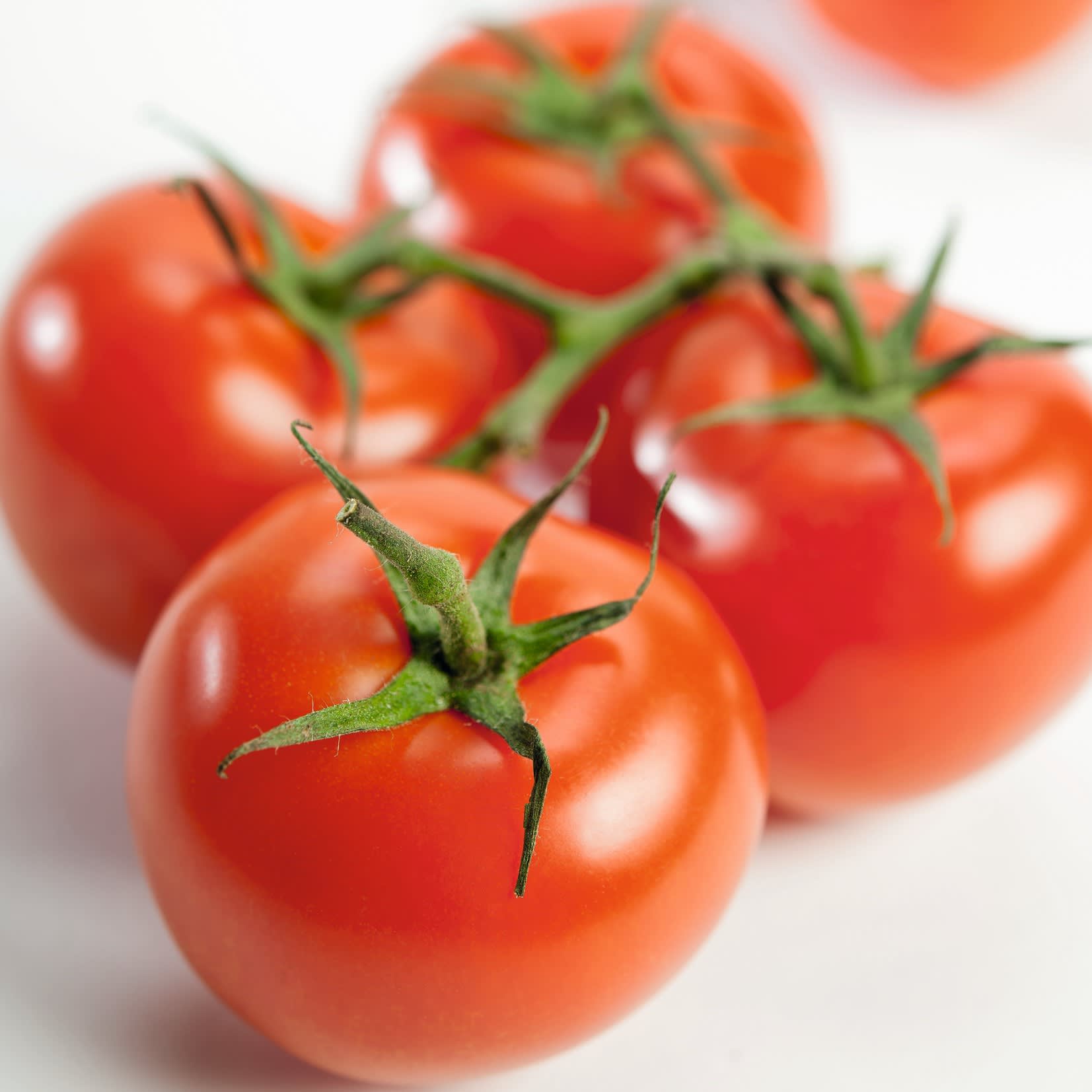 Leuchtend rote Tomaten an der Rebe, deren glänzende Haut vor einem schlichten weißen Hintergrund glänzt.