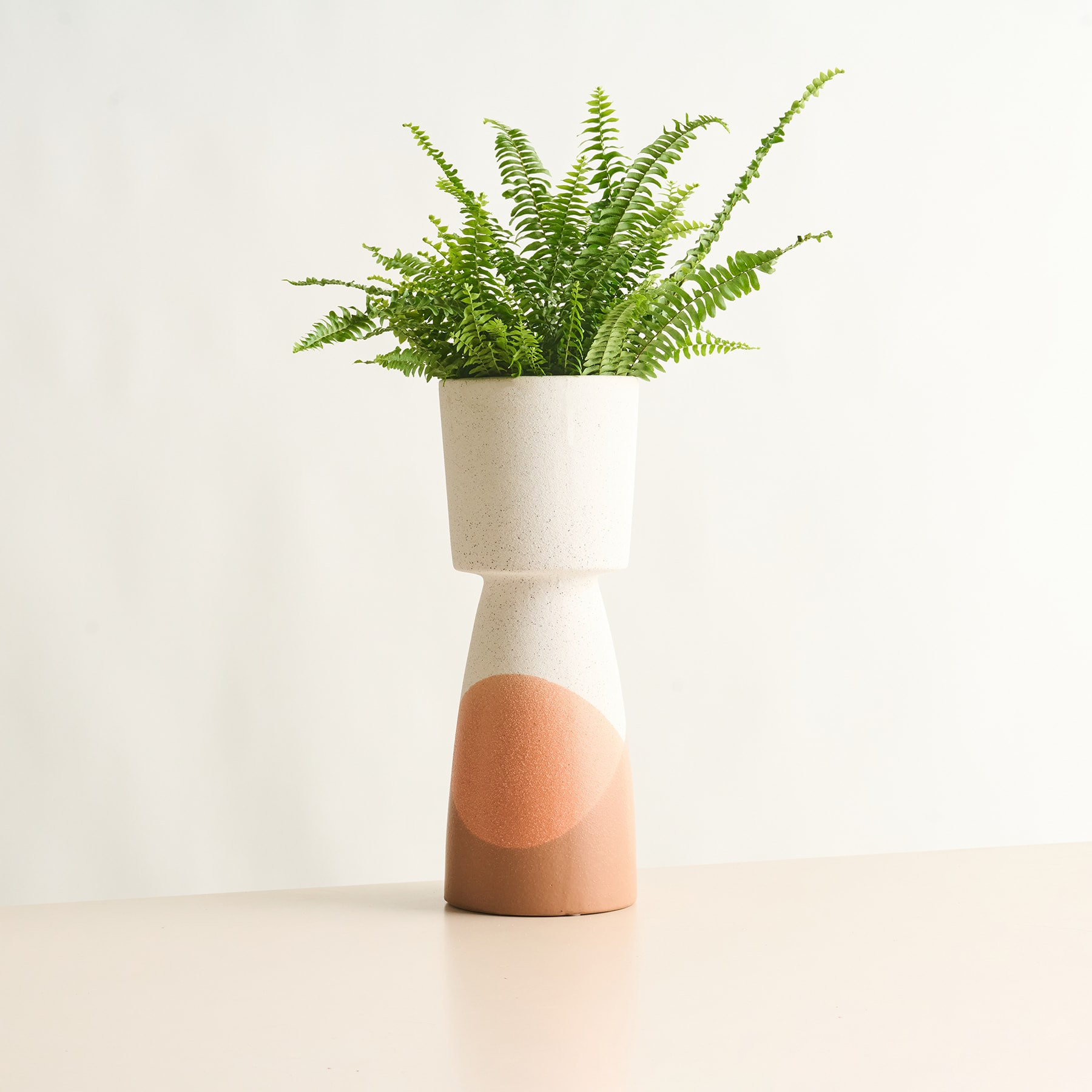 Eine weiße Keramikvase mit geometrischem Design hält eine üppige, grüne Farnpflanze vor einem schlichten, hellen Hintergrund.