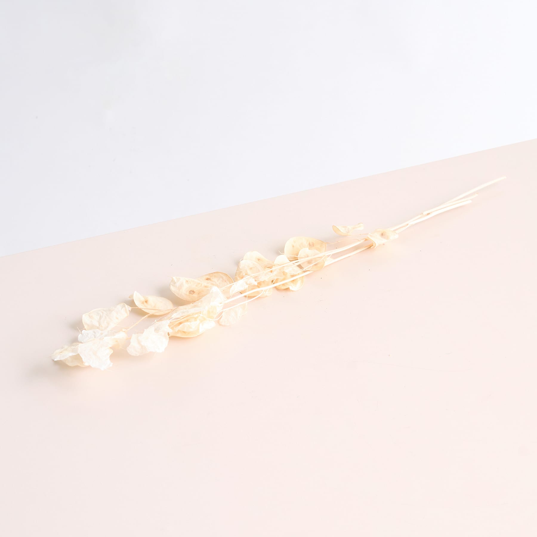 Zarte weiße Blumen, die über eine weiche, pfirsichfarbene Oberfläche verstreut sind, schaffen eine heitere und minimalistische Komposition.