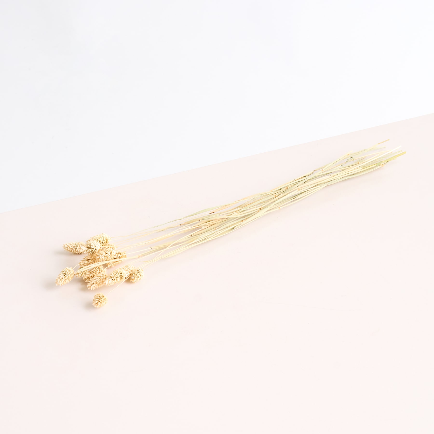 Ein Bündel getrockneter, goldfarbener Stiele oder Stängel liegt auf einer blassen, neutral getönten Oberfläche.
