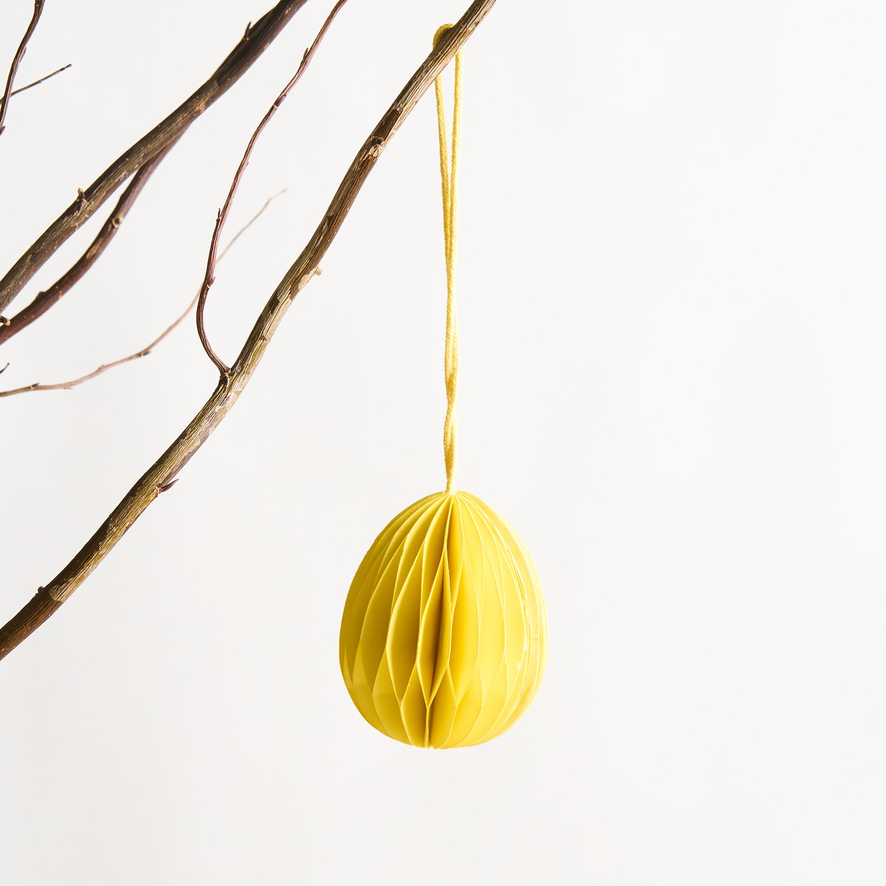 Vor einem schlichten weißen Hintergrund hängt an einem Ast ein gelbes Osterei mit Wabenmuster.