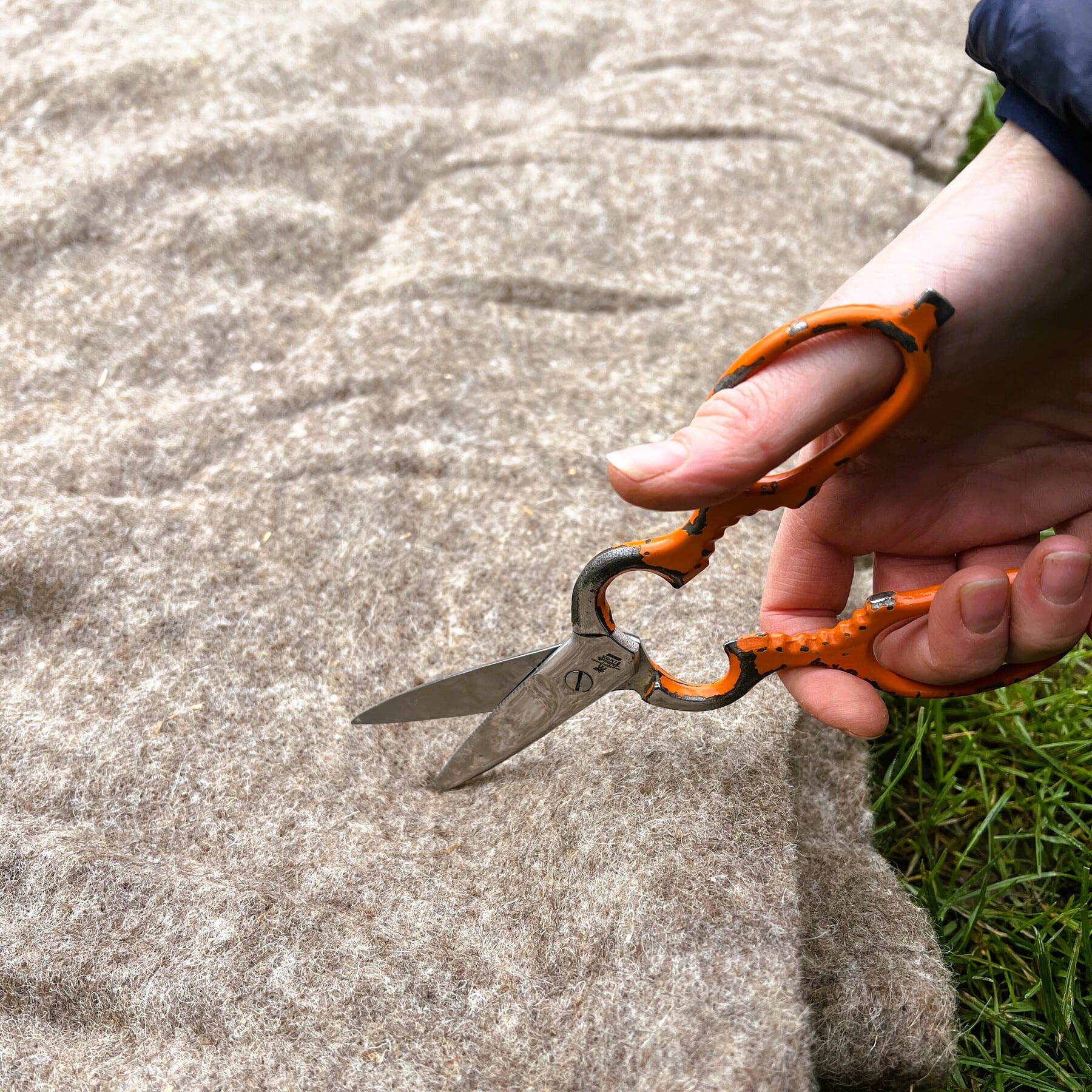Ein Paar Hände hält eine Schere mit orangefarbenem Griff und schneidet durch Gras auf einer Betonoberfläche.