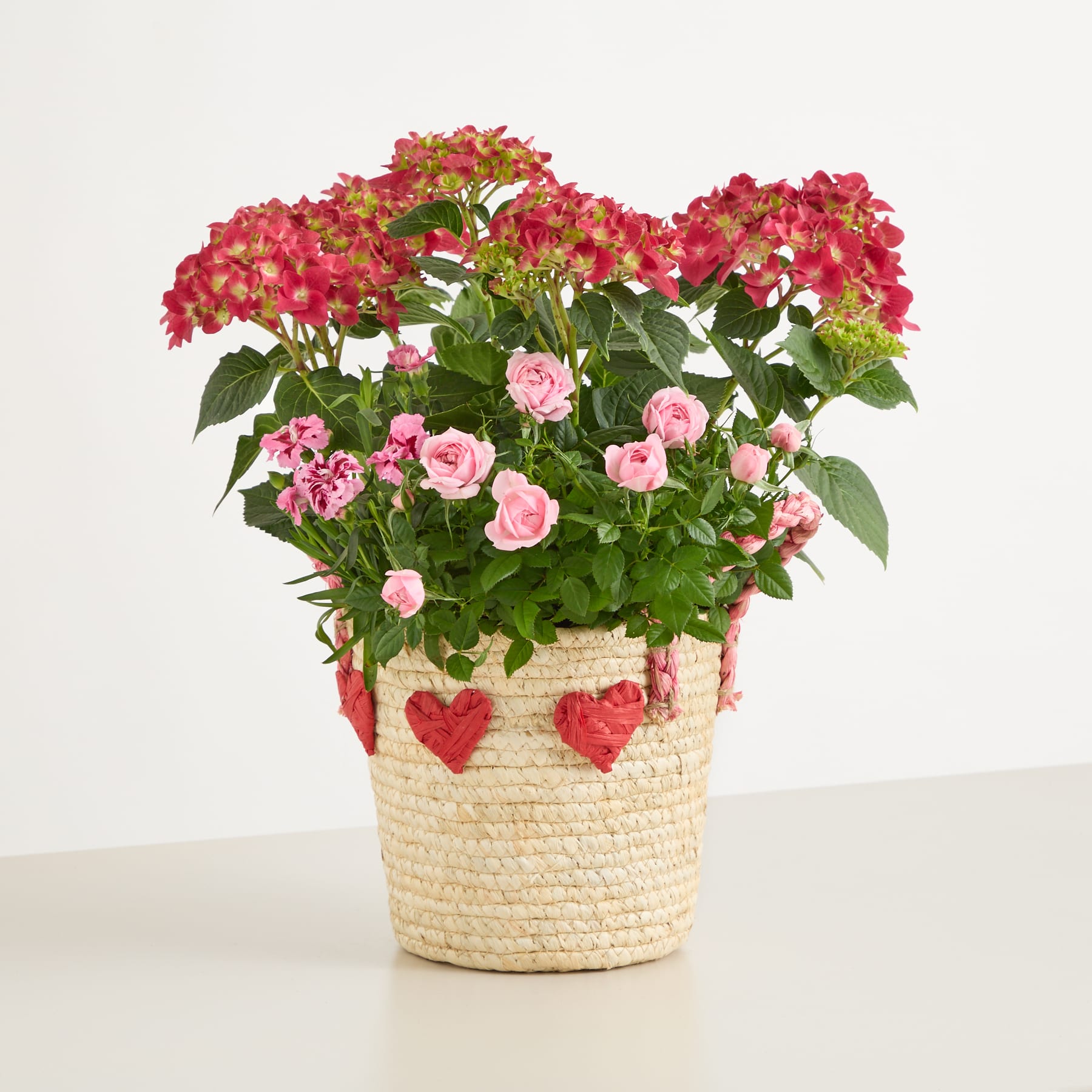 Ein leuchtender Strauß roter und rosa Blumen, darunter Hortensien und Rosen, arrangiert in einem geflochtenen Korb mit herzförmigen Verzierungen vor einem schlichten weißen Hintergrund.