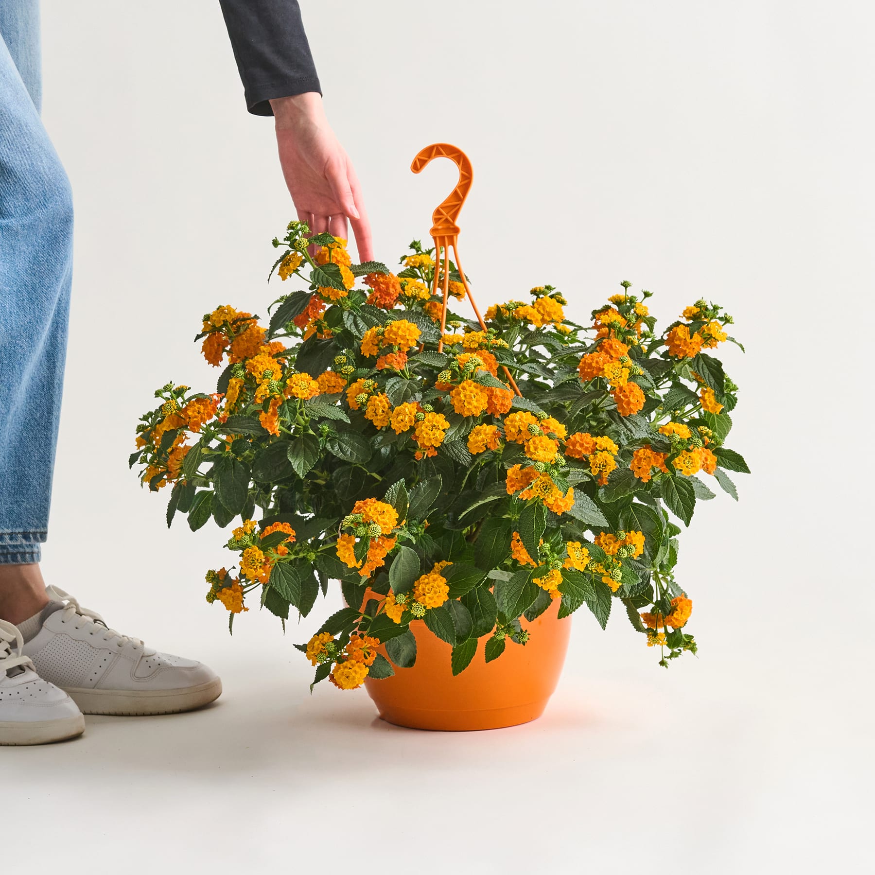 Die Hand einer Person hält einen orangefarbenen Blumentopf voller leuchtend gelber und orangefarbener Blumen vor einem schlichten Hintergrund, im Vordergrund sind die Beine und Schuhe der Person zu sehen.