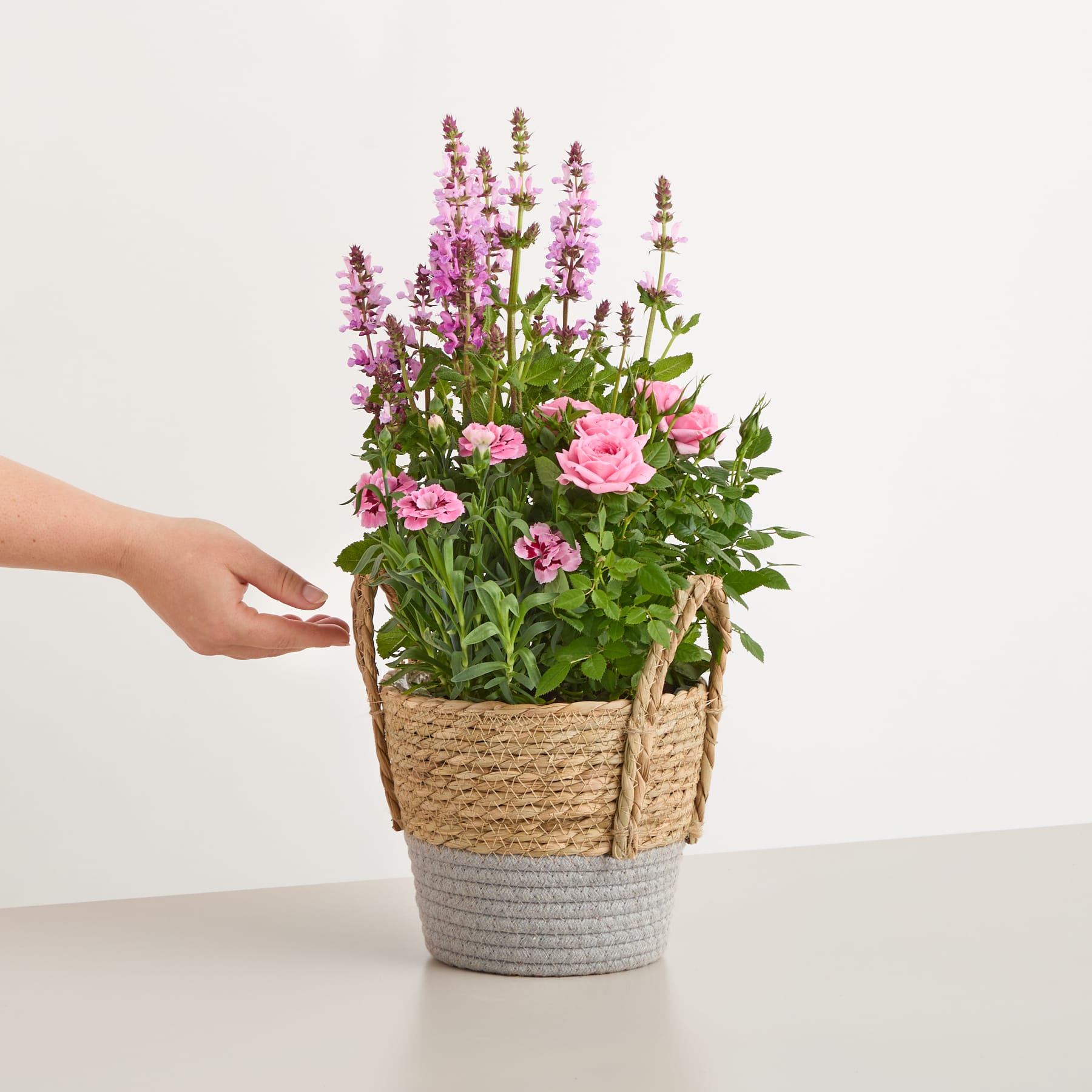 Ein leuchtender Strauß rosafarbener und violetter Blumen in einem geflochtenen Korb vor einem schlichten weißen Hintergrund.