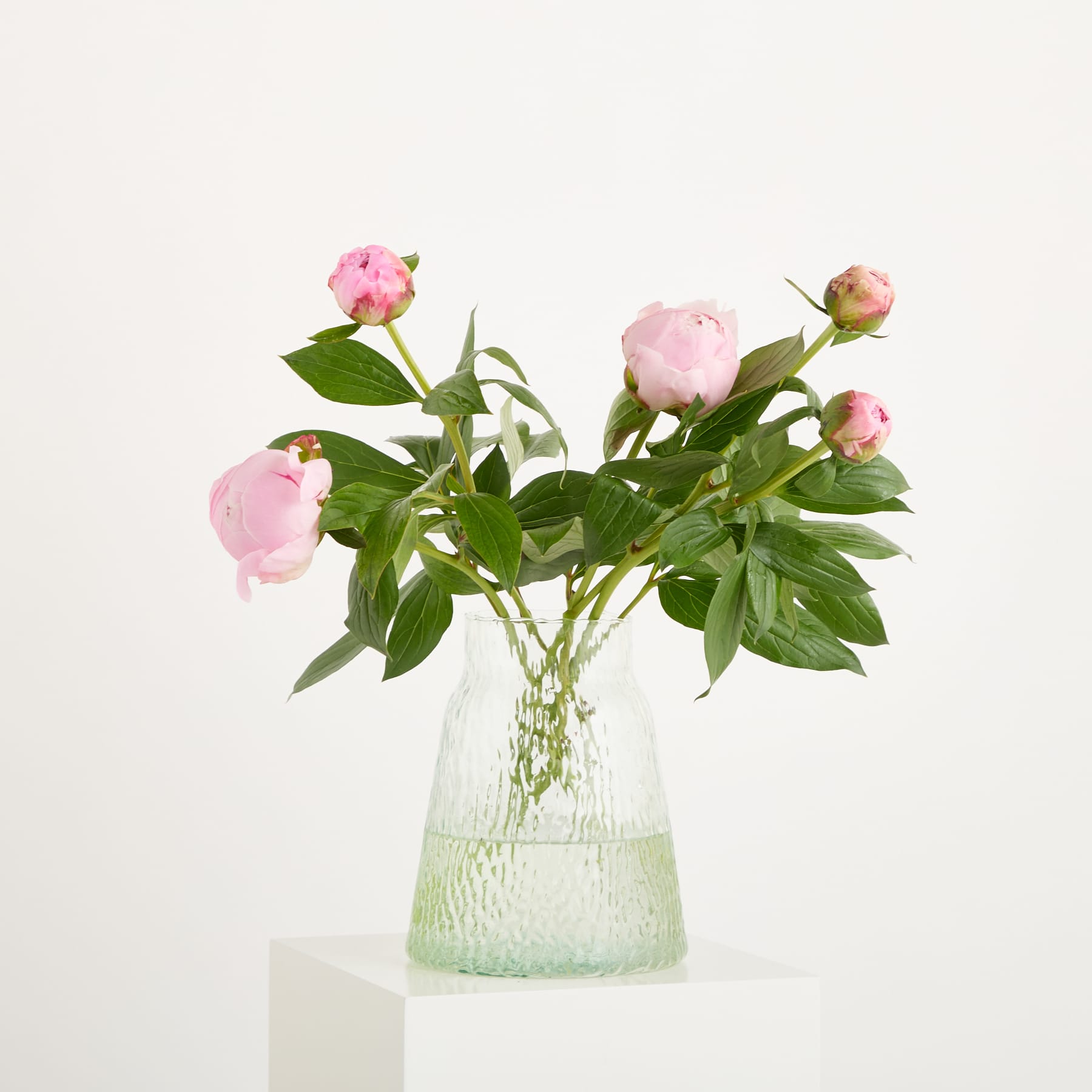 Ein Strauß zartrosa Pfingstrosen in einer transparenten Glasvase steht auf einem schlichten weißen Hintergrund und schafft eine heitere und elegante Komposition.