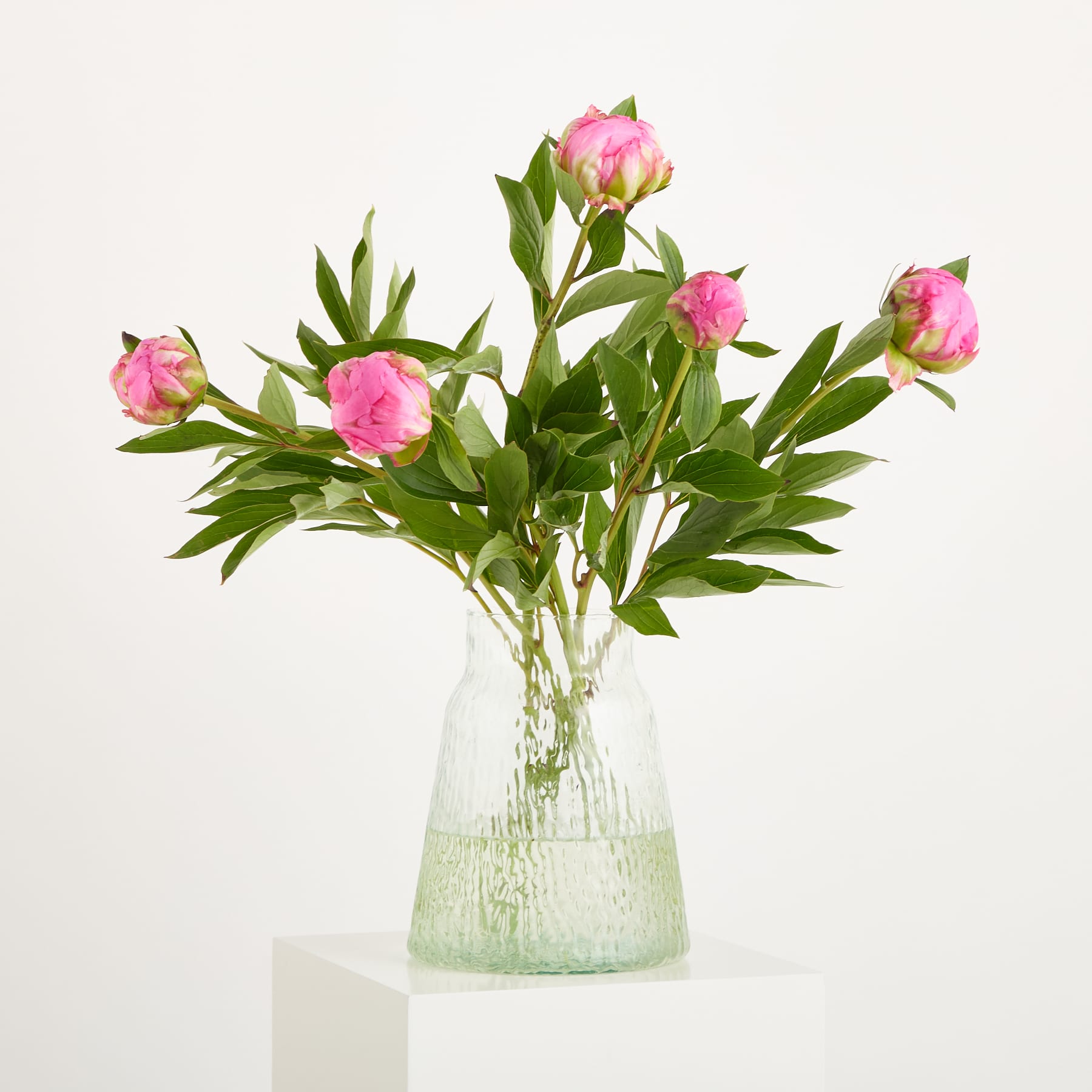 Ein Strauß leuchtend rosa Pfingstrosen in einer transparenten Glasvase steht vor einem schlichten weißen Hintergrund.