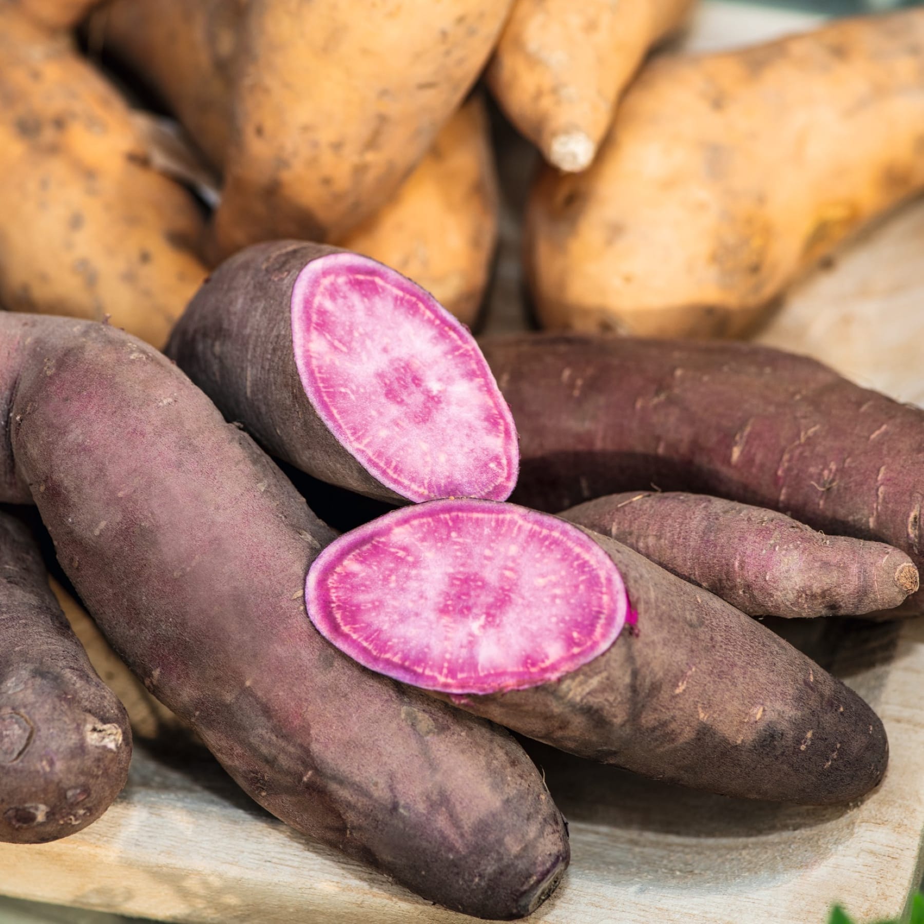 Eine Sammlung verschiedener Kartoffelsorten, darunter einige mit einem charakteristischen violett-rosa Farbton, liegt auf einer Oberfläche.