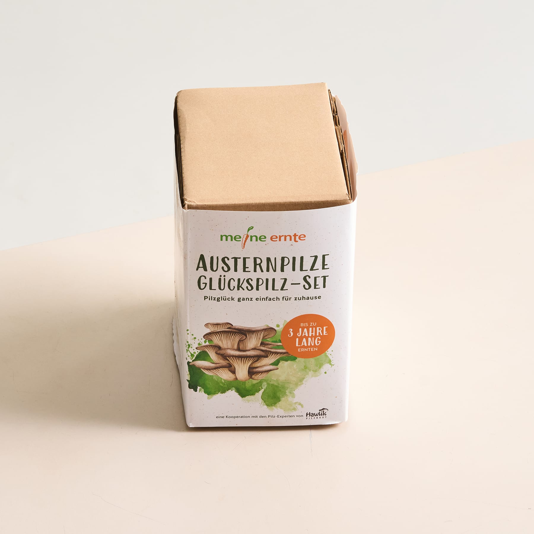 Pilzzucht Set Austernpilze