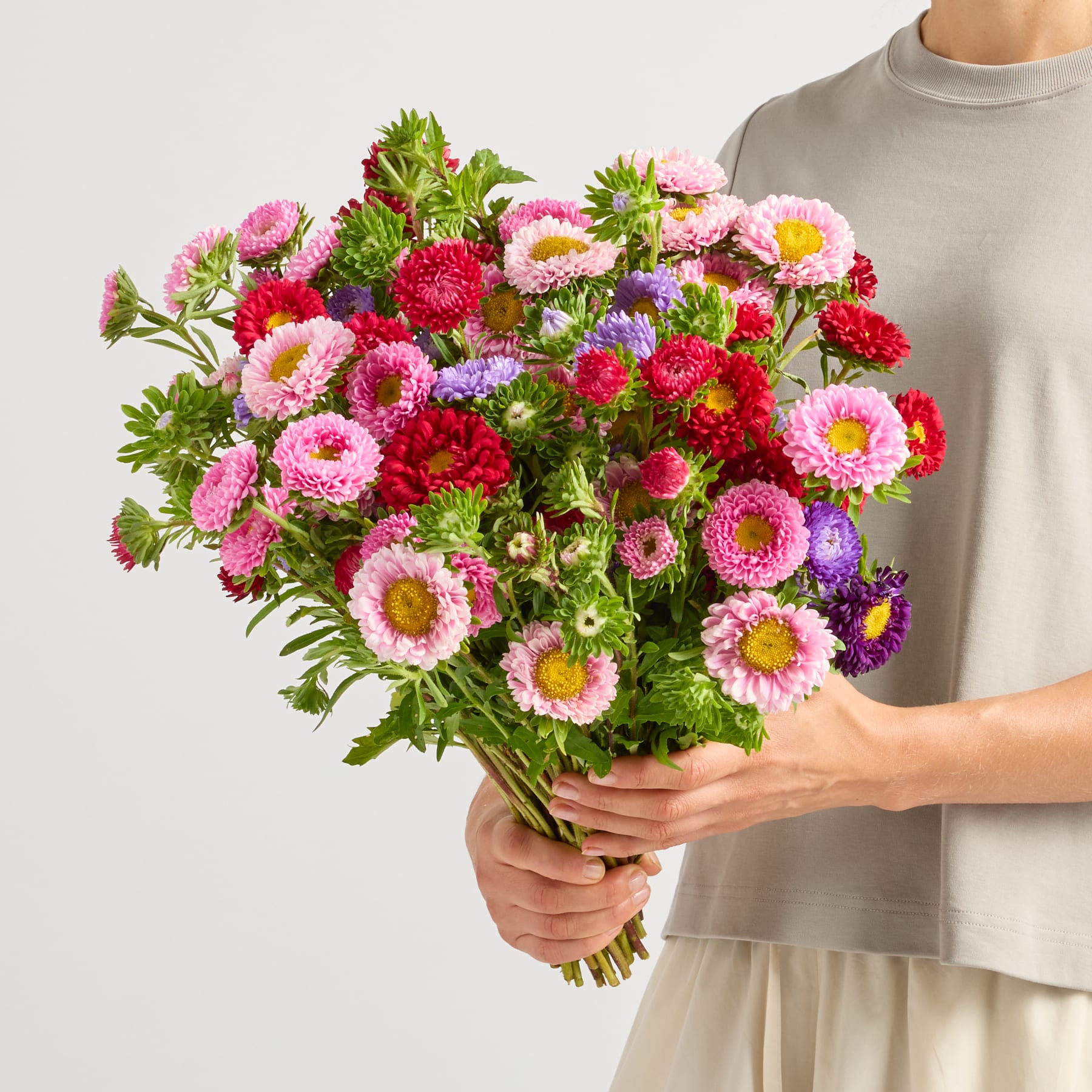 Ein leuchtender Strauß bunter, gänseblümchenartiger Blumen in Rosa-, Rot- und Lilatönen wird in den Händen einer Person gehalten, die ein graues Hemd vor einem schlichten Hintergrund trägt.