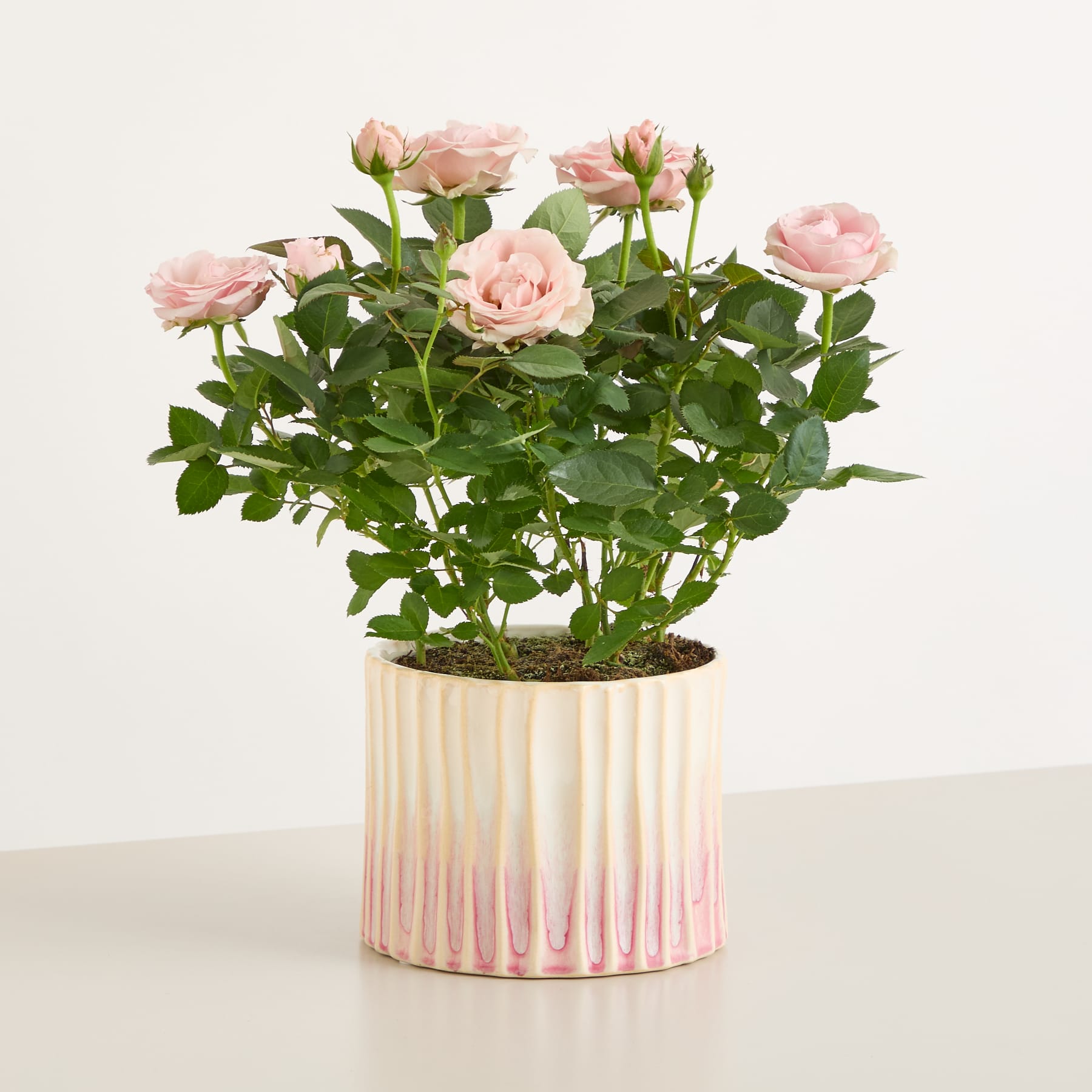 Vor einem hellblauen Hintergrund wird ein Strauß zartrosa Rosen in den Händen gehalten.