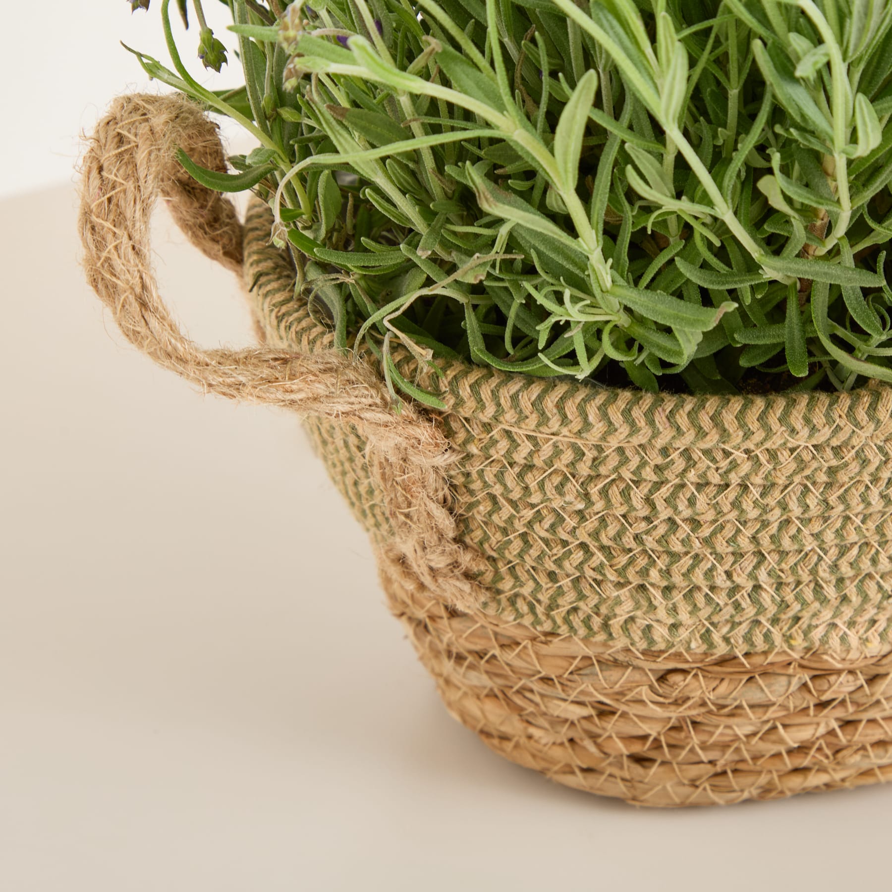 Ein geflochtener Korb gefüllt mit leuchtend violetten und blauen Hortensienblüten, begleitet von üppigem grünem Laub und zarten Lavendelzweigen, ruht auf einer hellen Oberfläche.