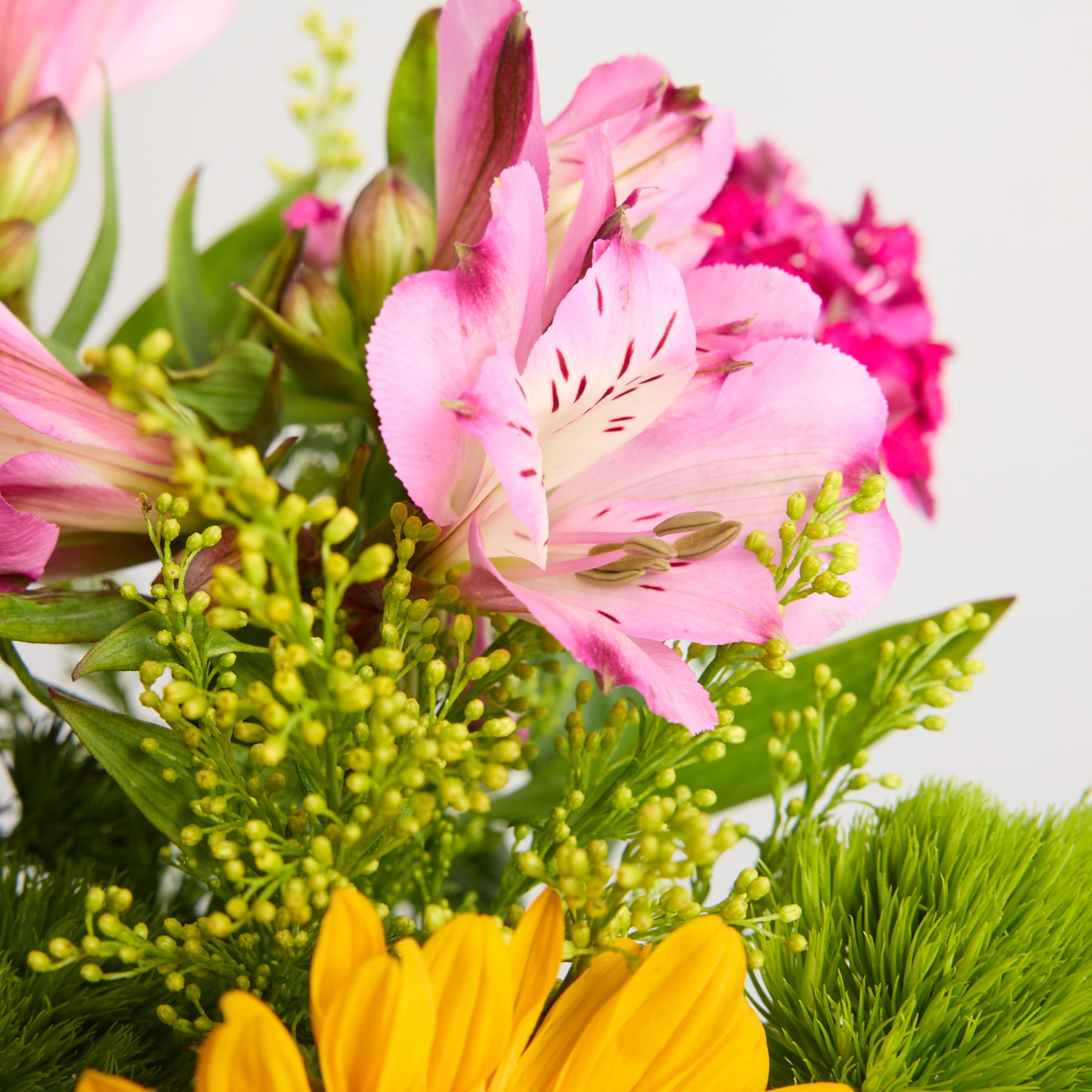 Ein leuchtender Strauß rosa und gelber Blumen, darunter Alstroemerien und Mimosen, vor dem Hintergrund üppiger grüner Blätter.