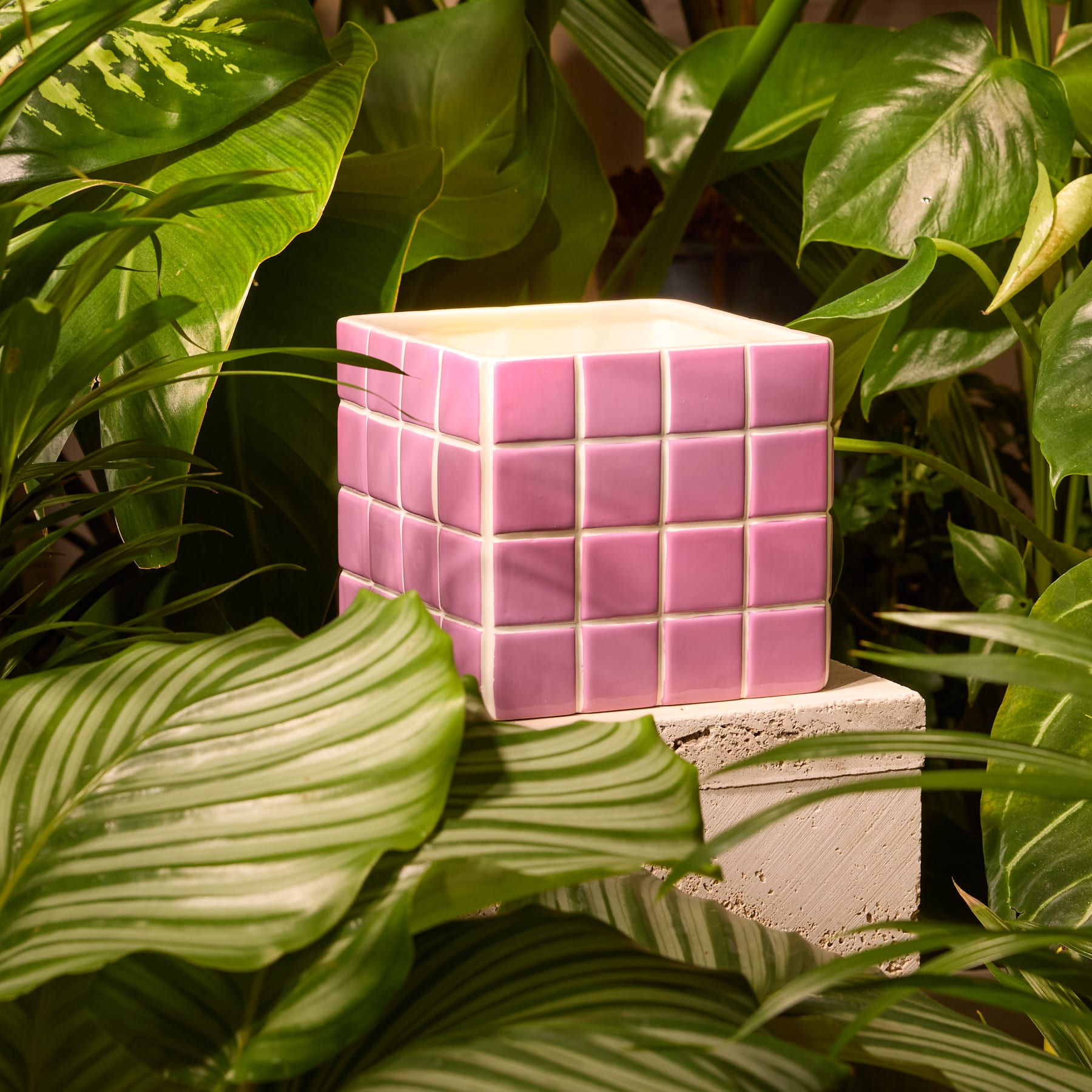 Ein farbenfroher Strauß rosa und grüner Blumen wird in einer stilvollen, geometrischen rosa Vase vor einem schlichten weißen Hintergrund präsentiert.